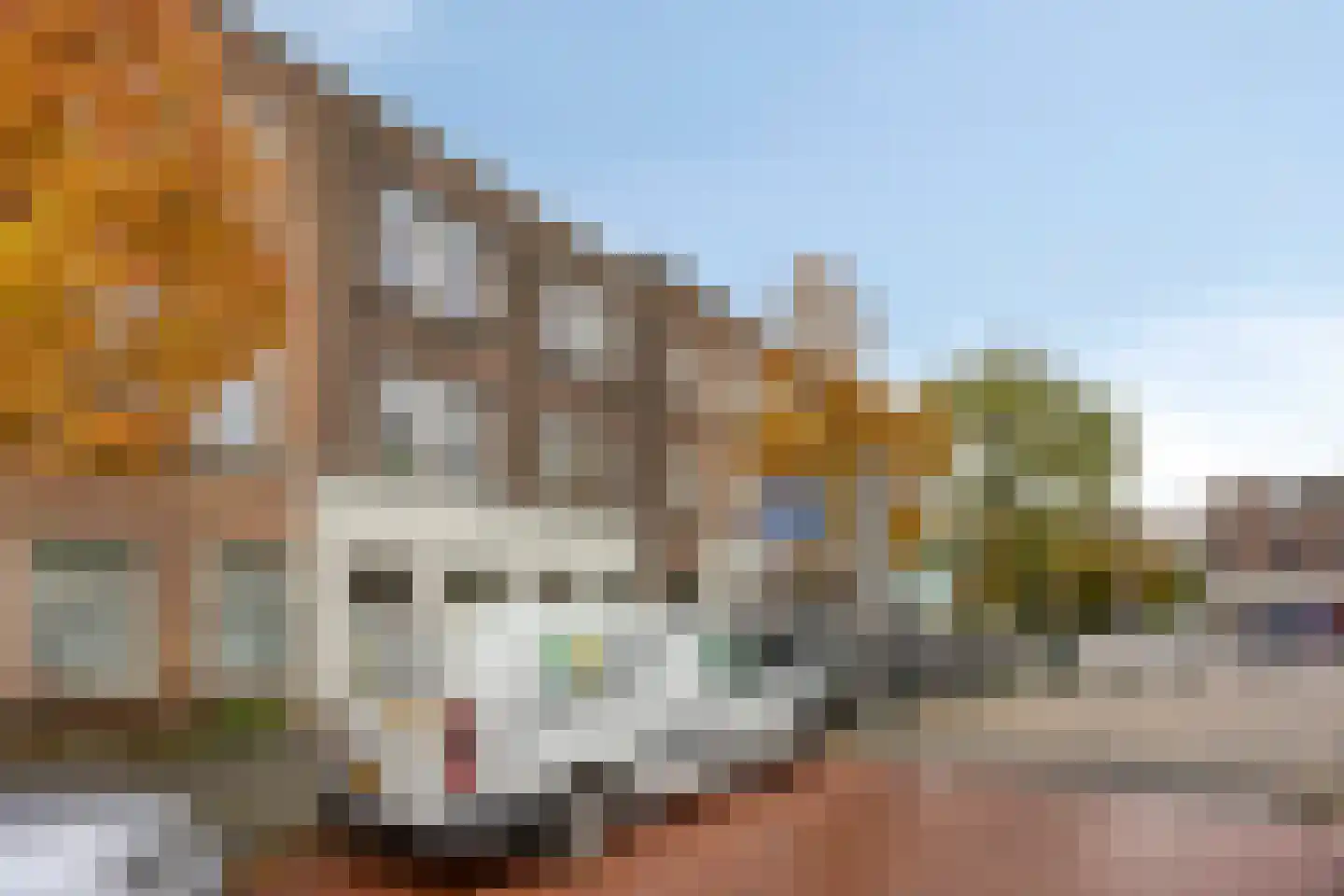 Stuyvesantstraat 5 Den Haag