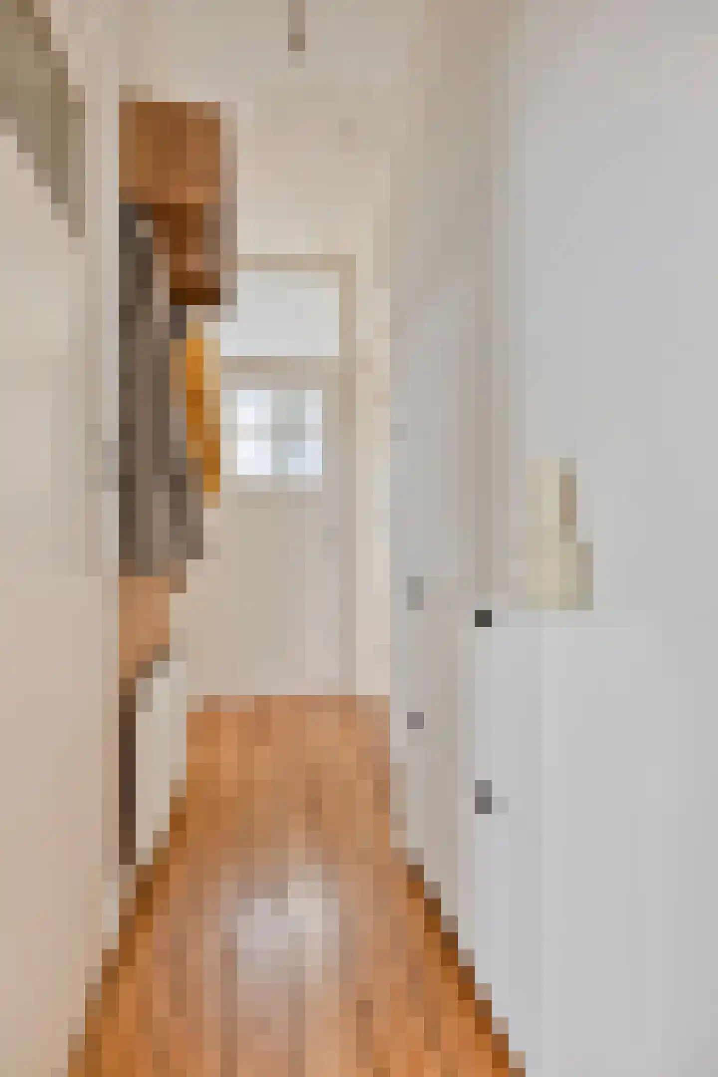 Stuyvesantstraat 5 Den Haag thumbnail 17