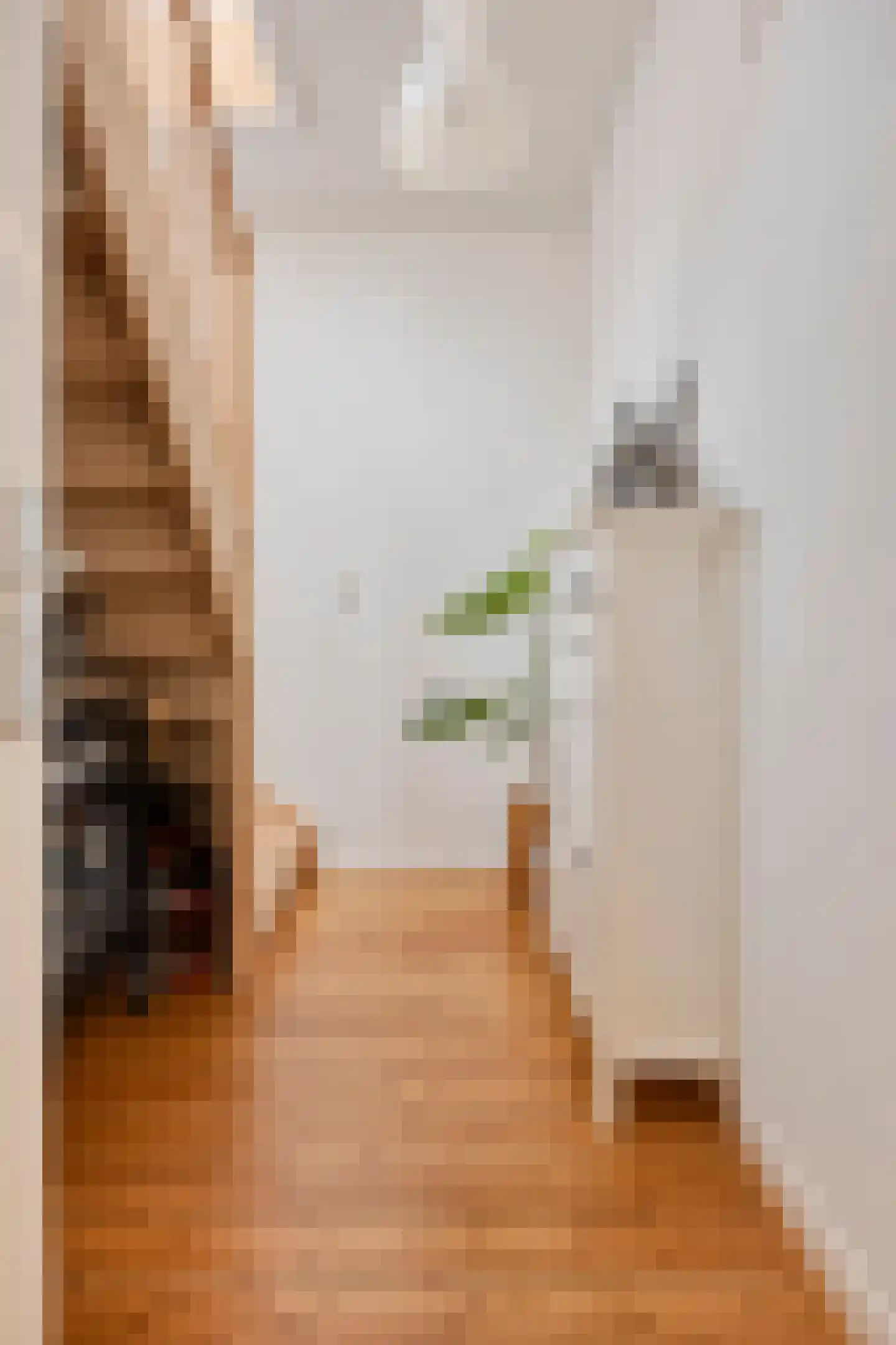 Stuyvesantstraat 5 Den Haag thumbnail 18