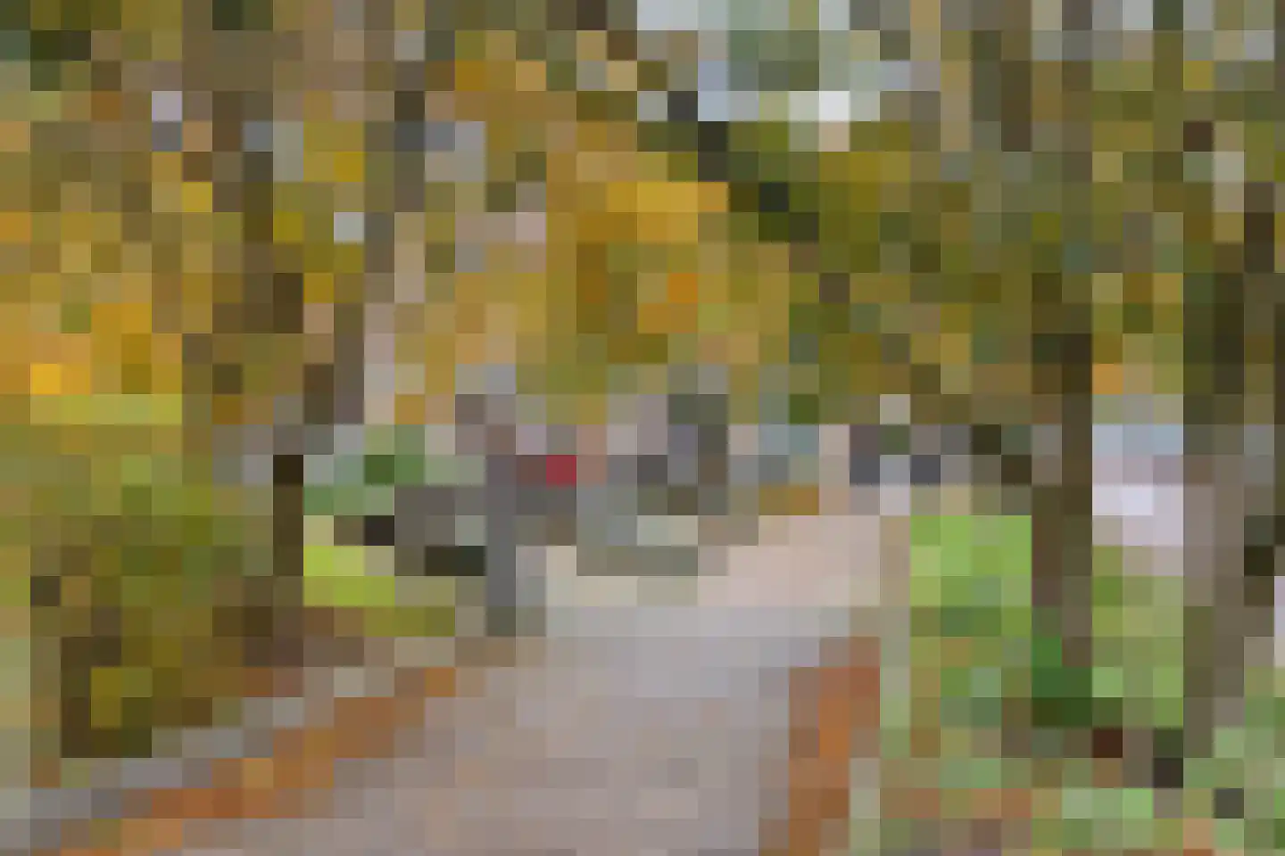 Stuyvesantstraat 5 Den Haag thumbnail 30