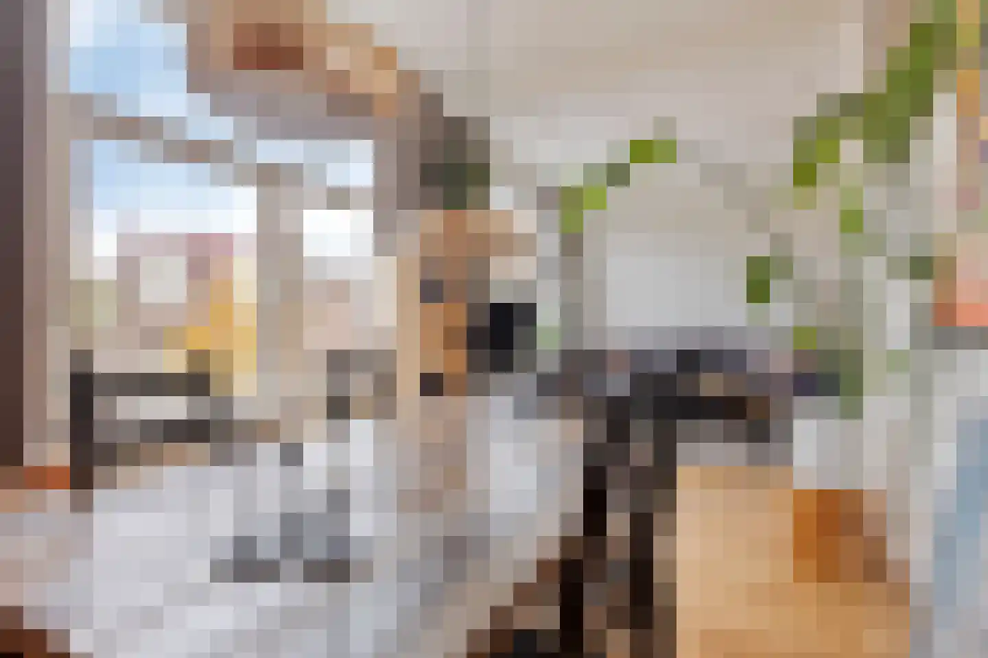 Stuyvesantstraat 5 Den Haag thumbnail 6