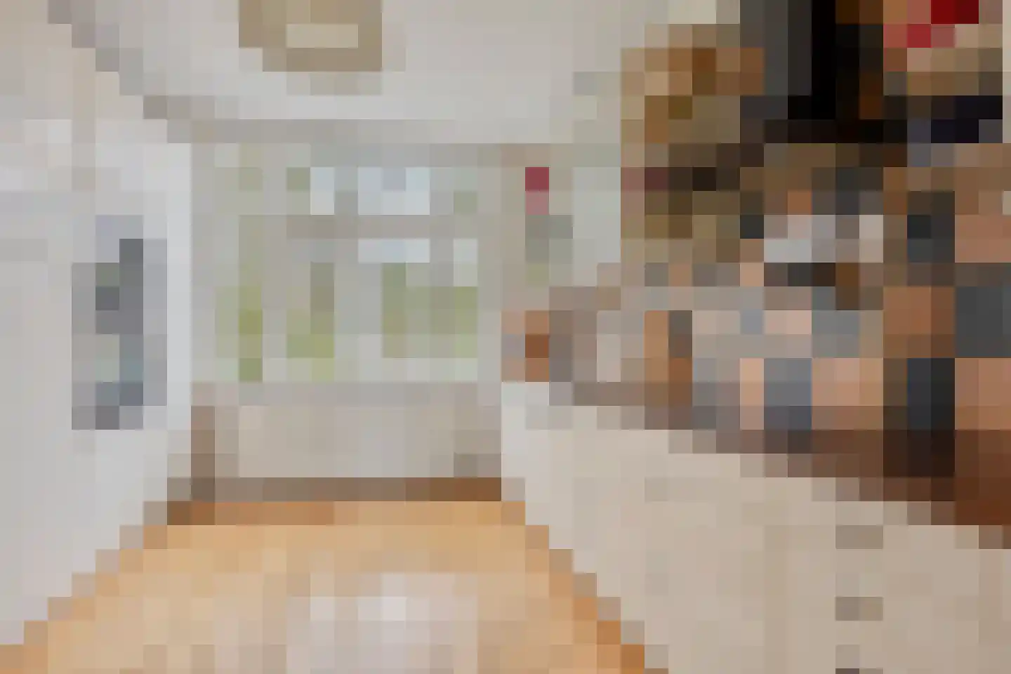 Stuyvesantstraat 5 Den Haag thumbnail 9