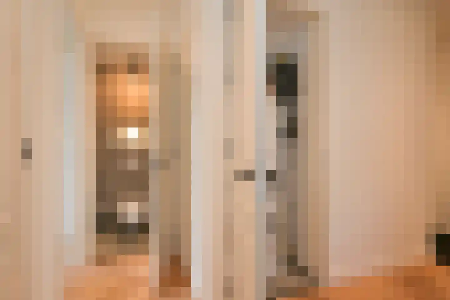 Stuyvesantstraat 51 Den Haag thumbnail 32