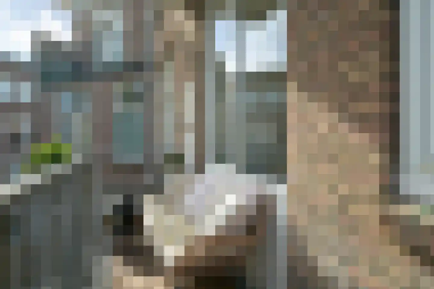 Stuyvesantstraat 51 Den Haag thumbnail 33