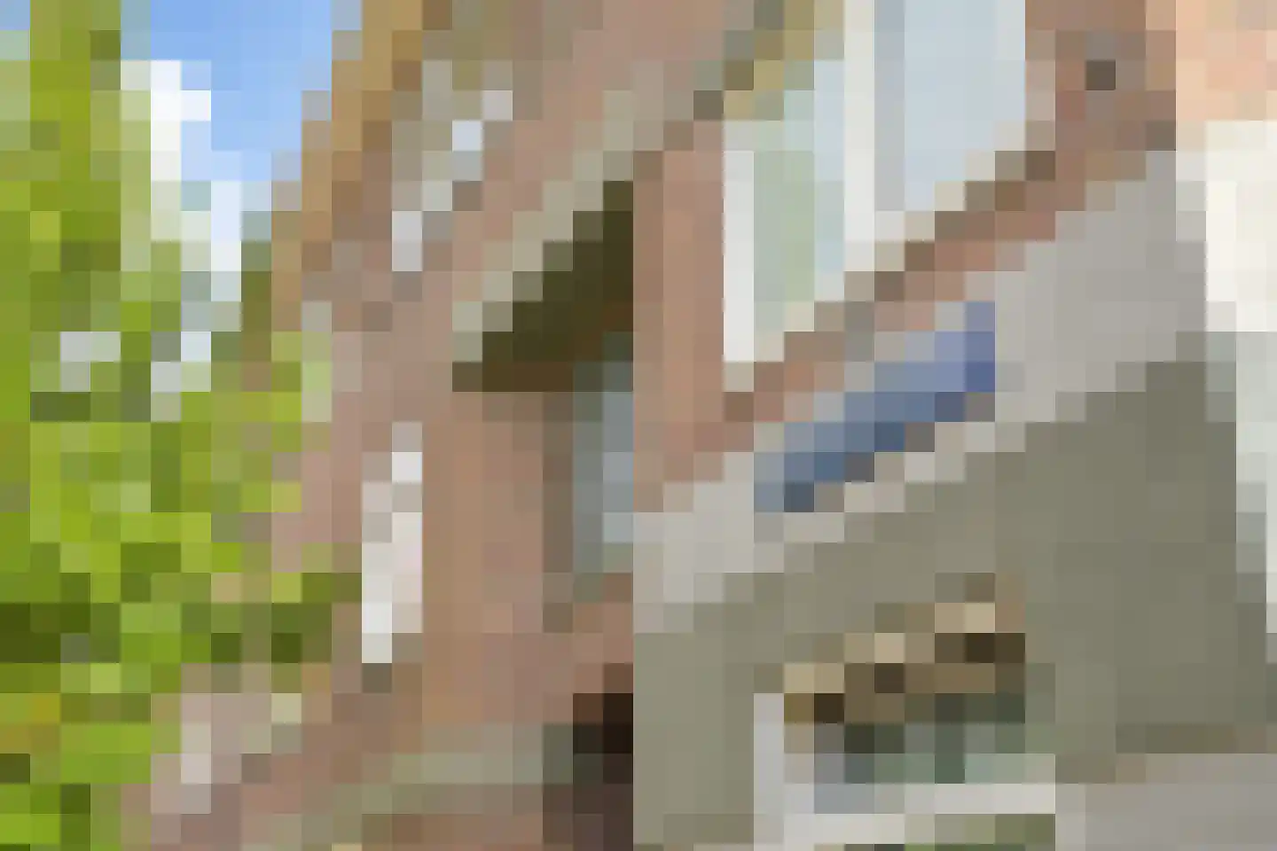 Stuyvesantstraat 51 Den Haag thumbnail 8