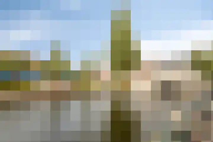 Stuyvesantstraat 52 2 Amsterdam thumbnail 22