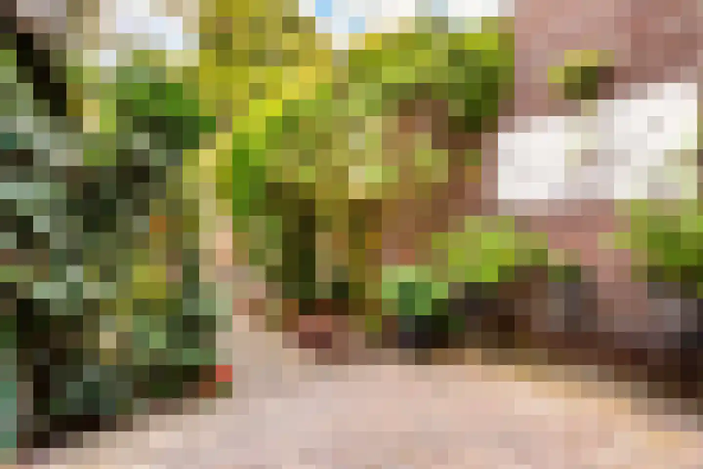 Stuyvesantstraat 52 Haarlem thumbnail 24