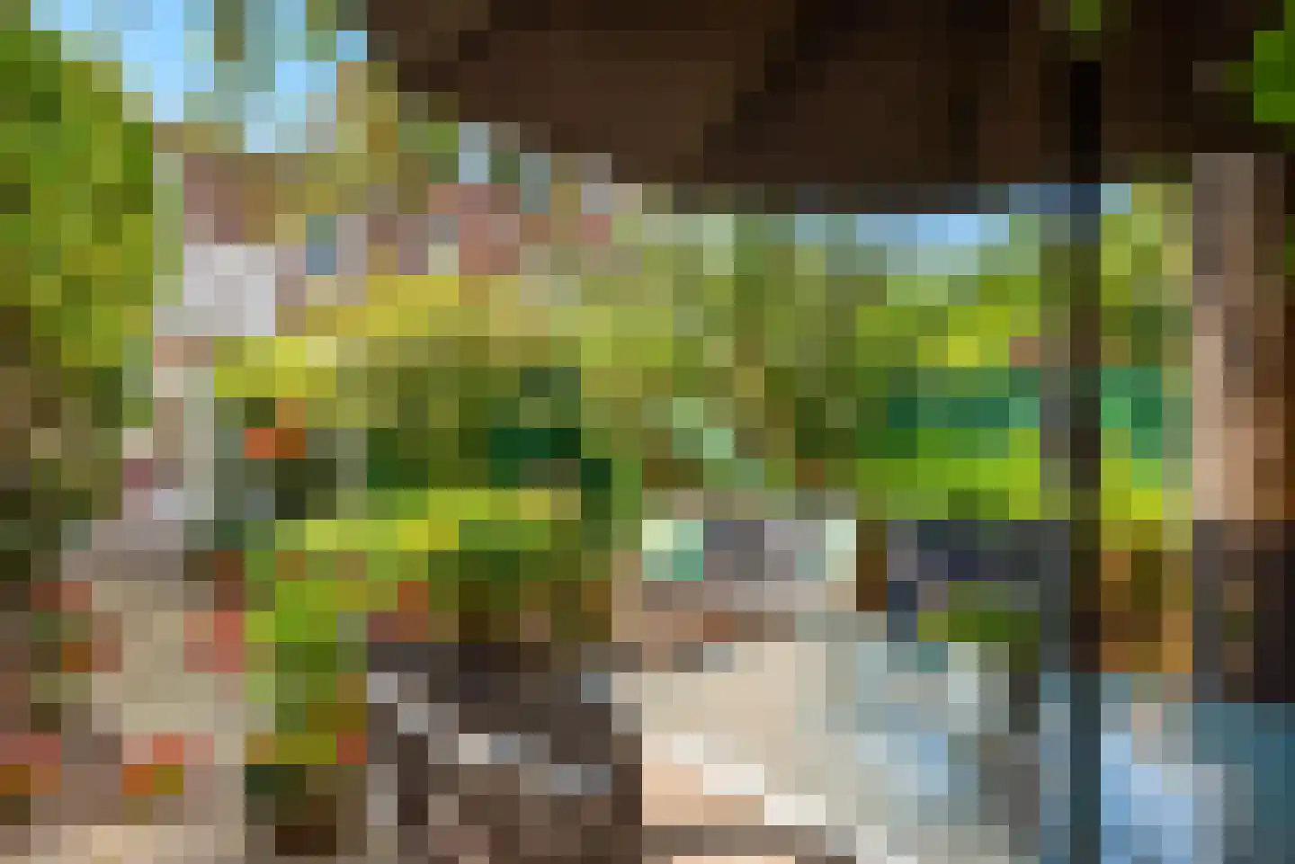 Stuyvesantstraat 52 Haarlem thumbnail 31