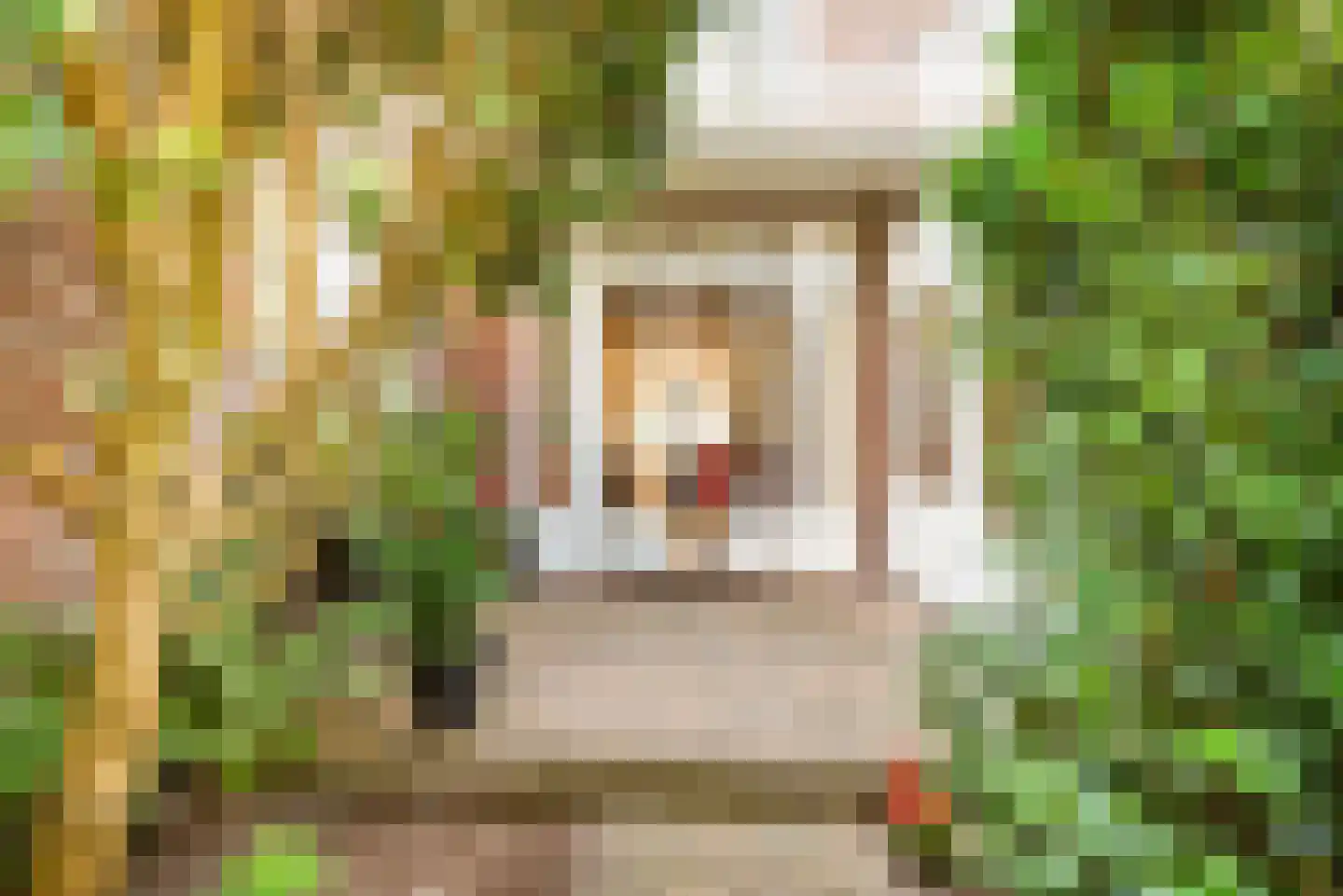 Stuyvesantstraat 52 Haarlem thumbnail 33