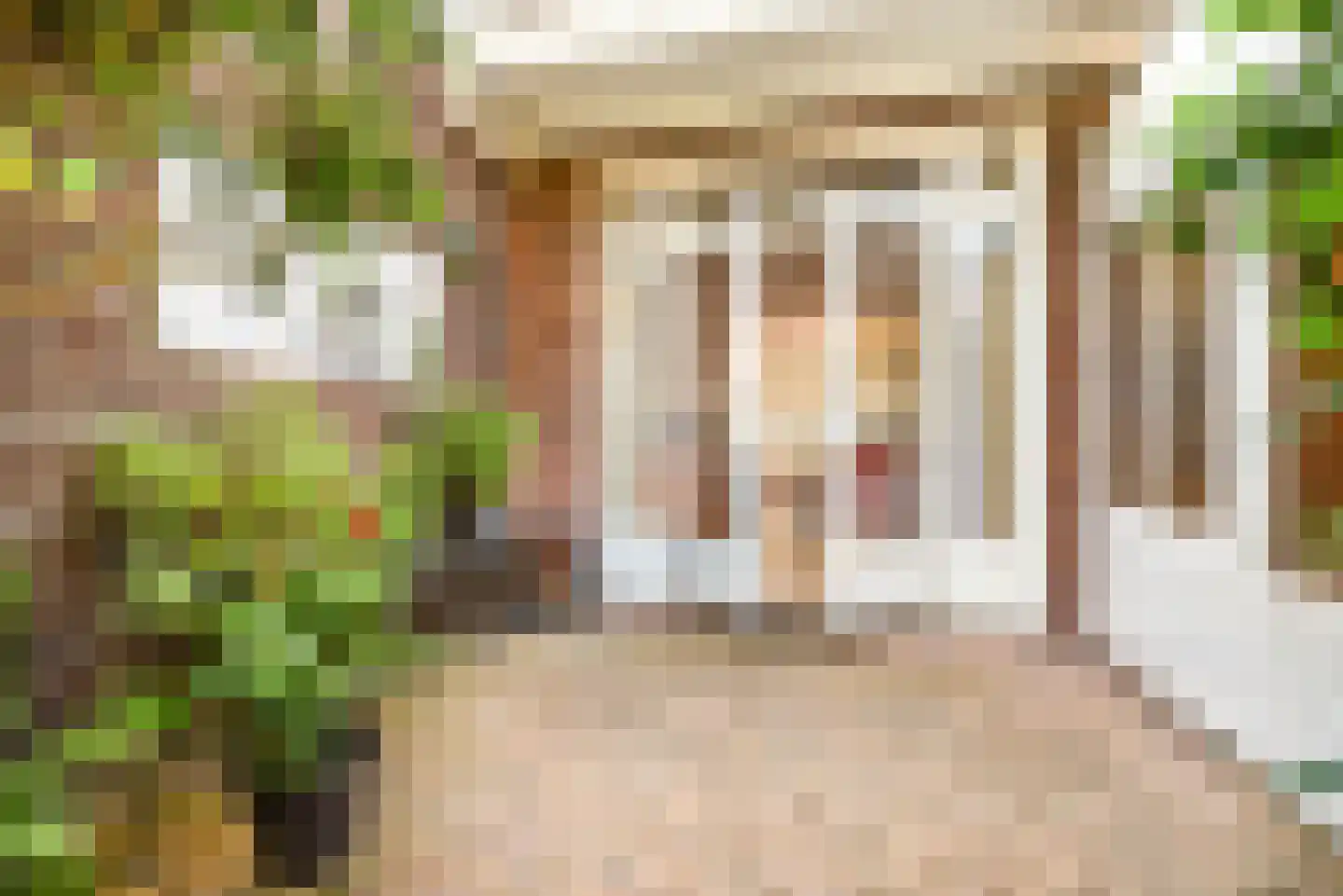 Stuyvesantstraat 52 Haarlem thumbnail 34