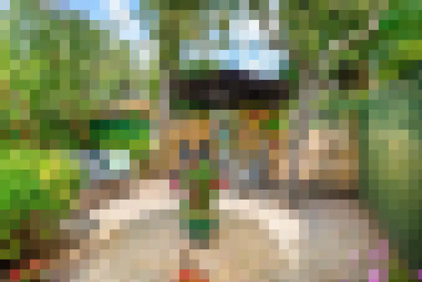 Stuyvesantstraat 52 Haarlem thumbnail 4