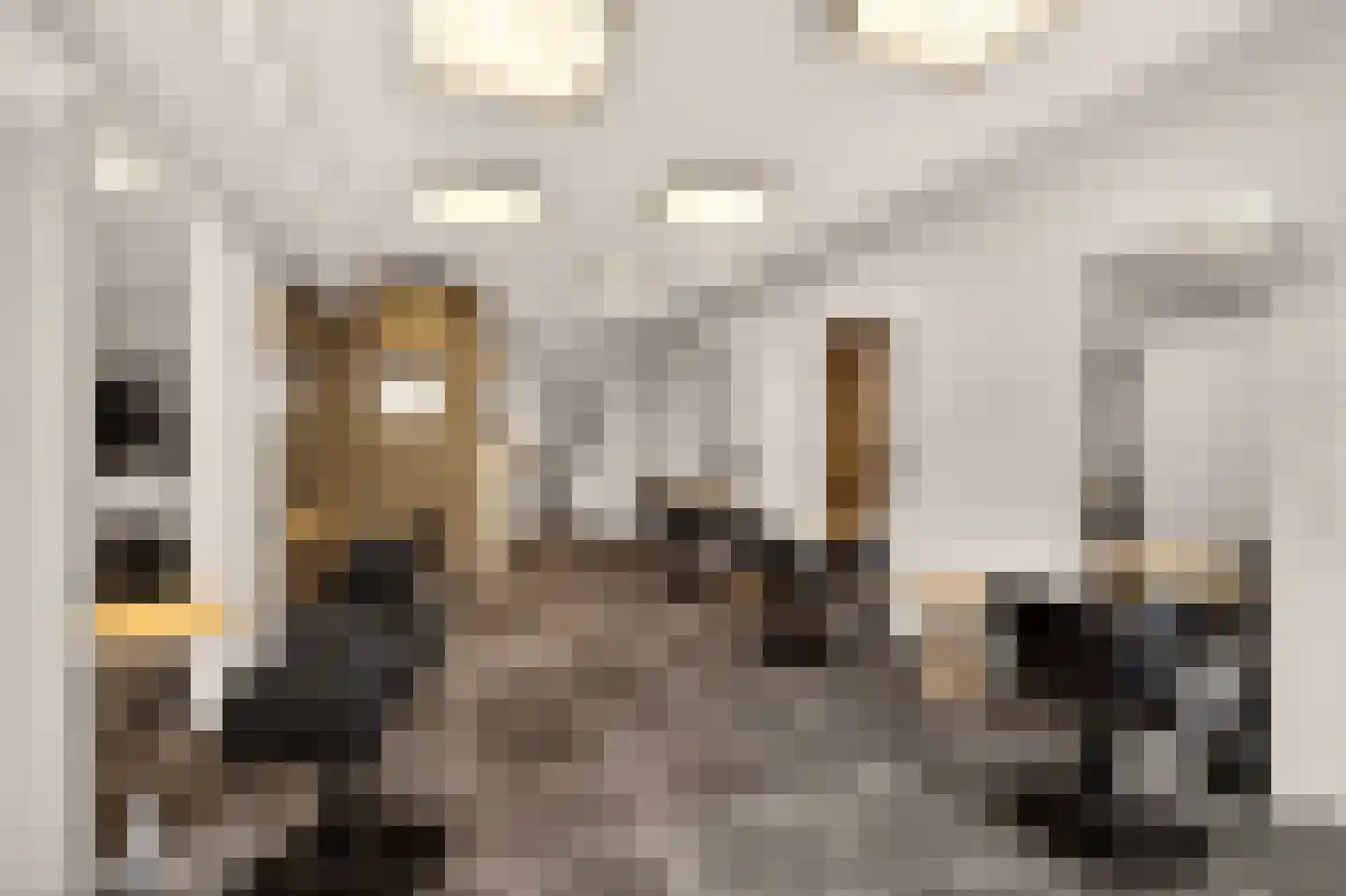 Stuyvesantstraat 63 Haarlem thumbnail 13