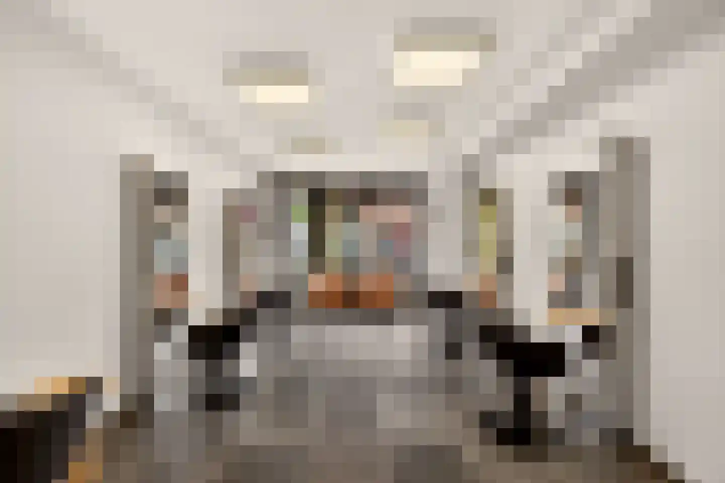 Stuyvesantstraat 63 Haarlem thumbnail 15