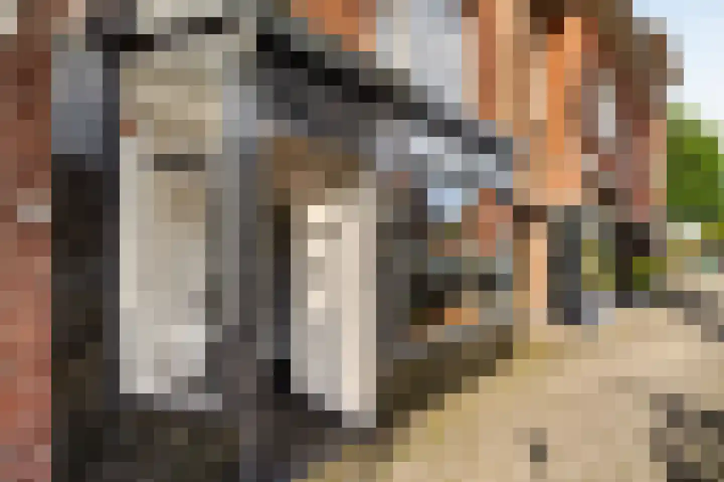 Stuyvesantstraat 63 Haarlem thumbnail 25