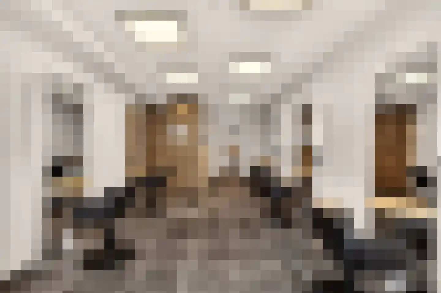 Stuyvesantstraat 63 Haarlem thumbnail 4