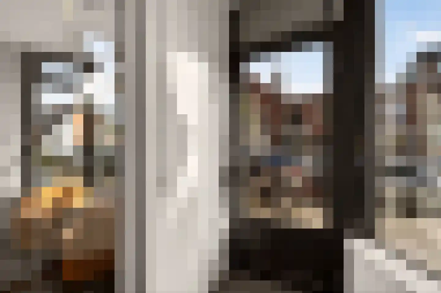 Stuyvesantstraat 63 Haarlem thumbnail 6