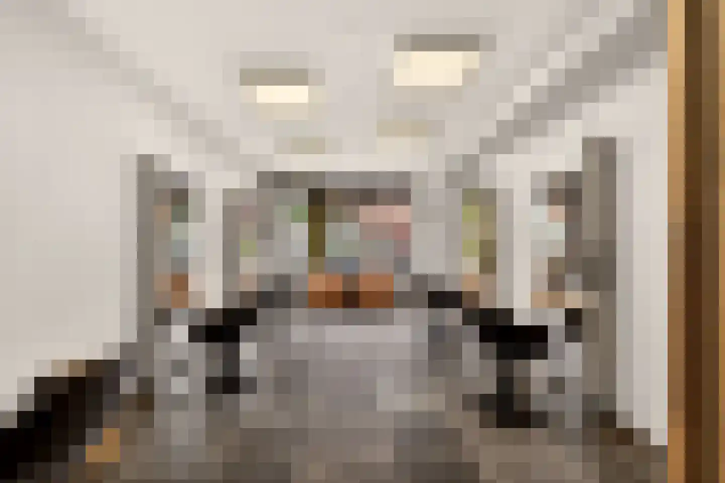 Stuyvesantstraat 63 Haarlem thumbnail 9