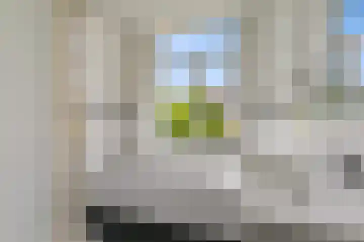 Stuyvesantstraat 64 Den Haag thumbnail 9