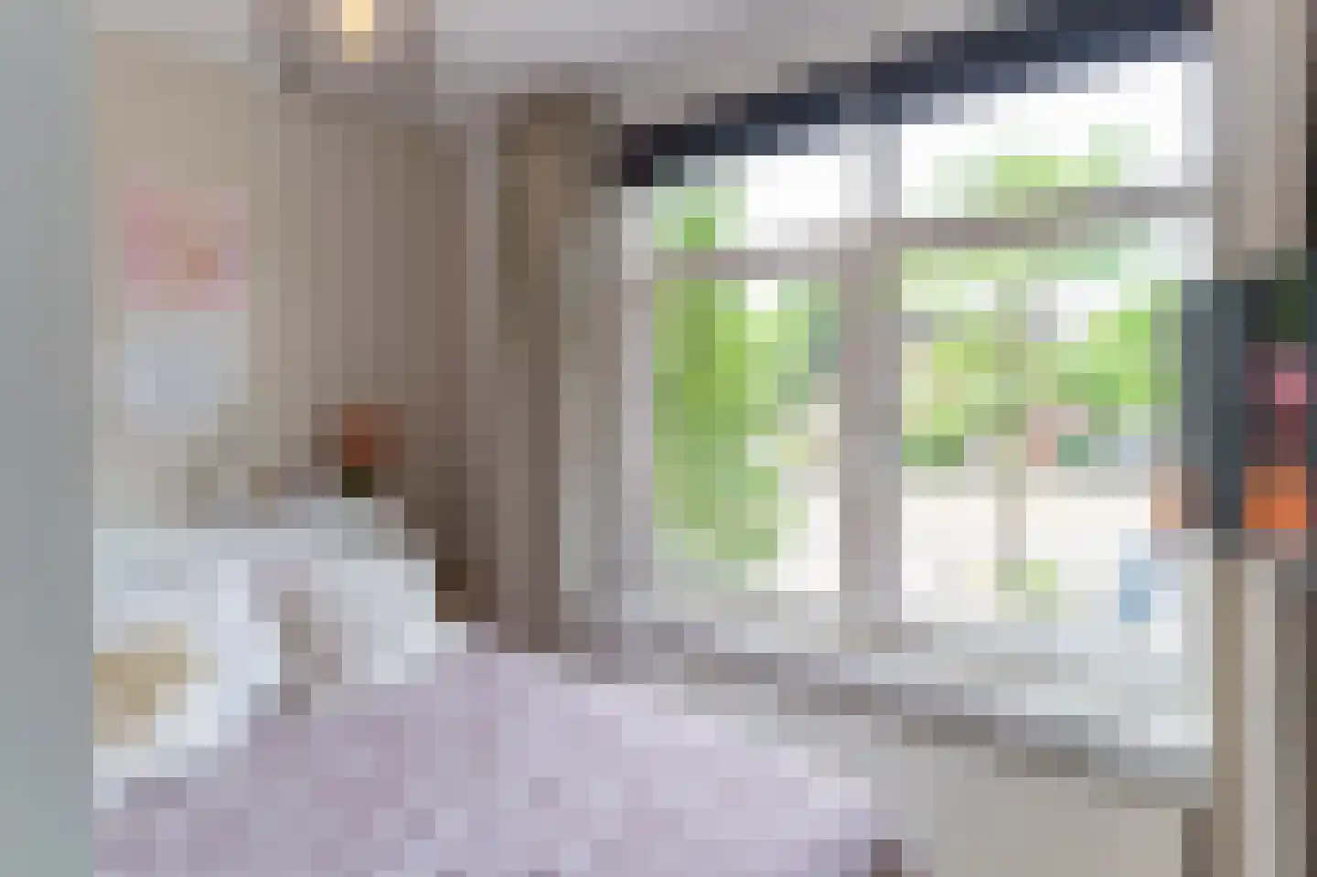 Stuyvesantstraat 7 Den Haag thumbnail 10