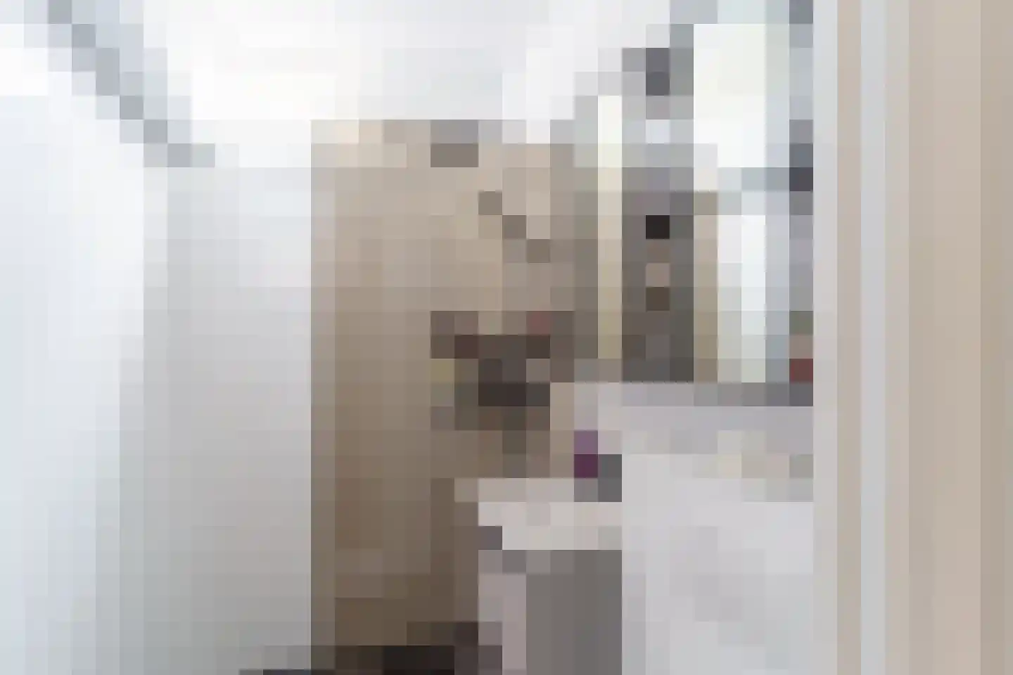 Stuyvesantstraat 7 Den Haag thumbnail 12