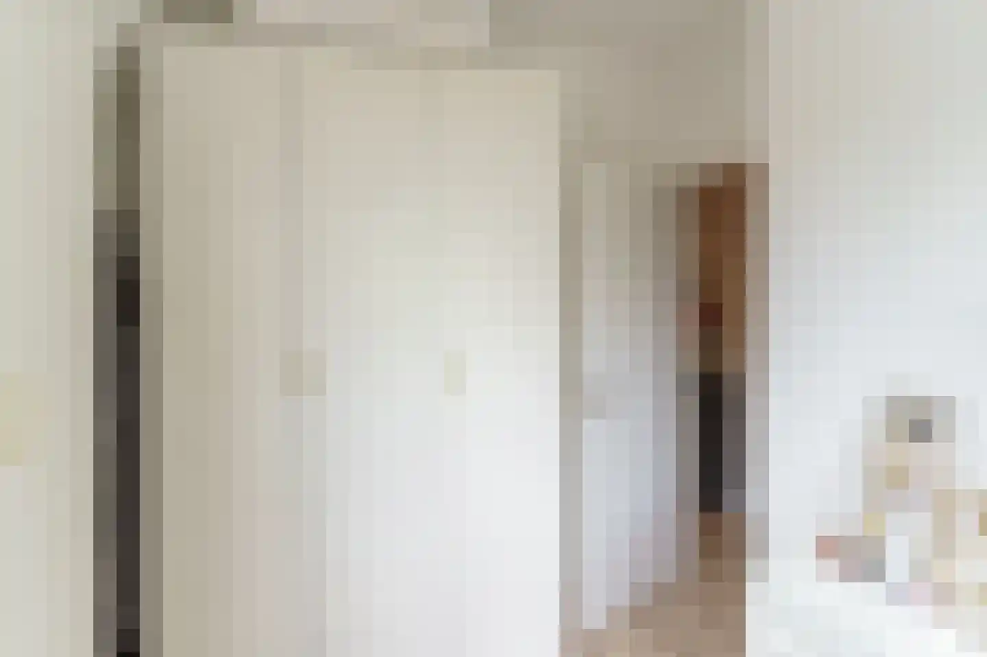 Stuyvesantstraat 7 Den Haag thumbnail 15
