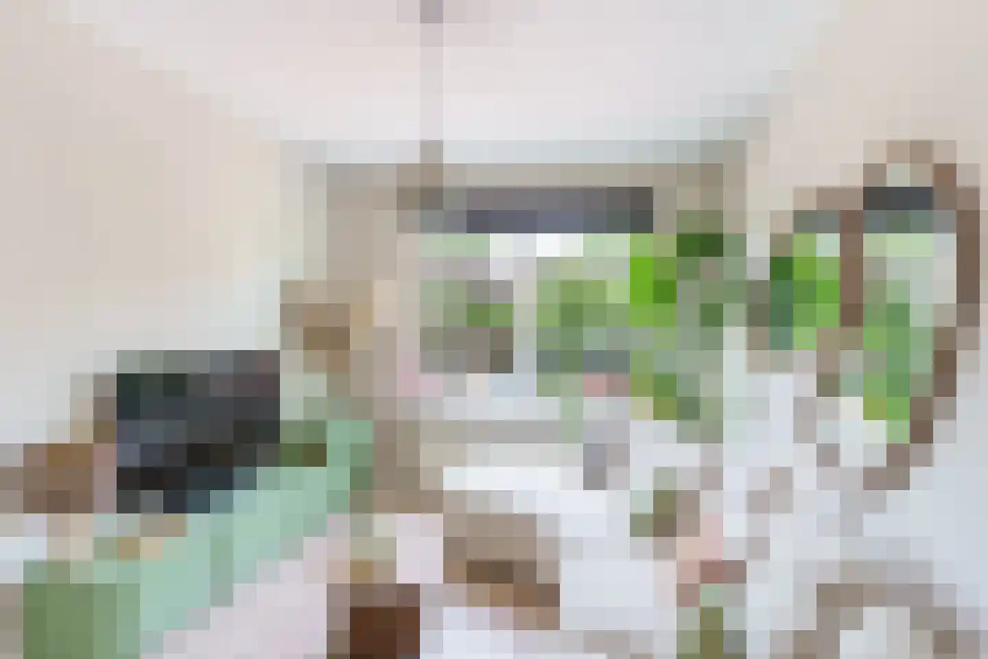 Stuyvesantstraat 7 Den Haag thumbnail 4