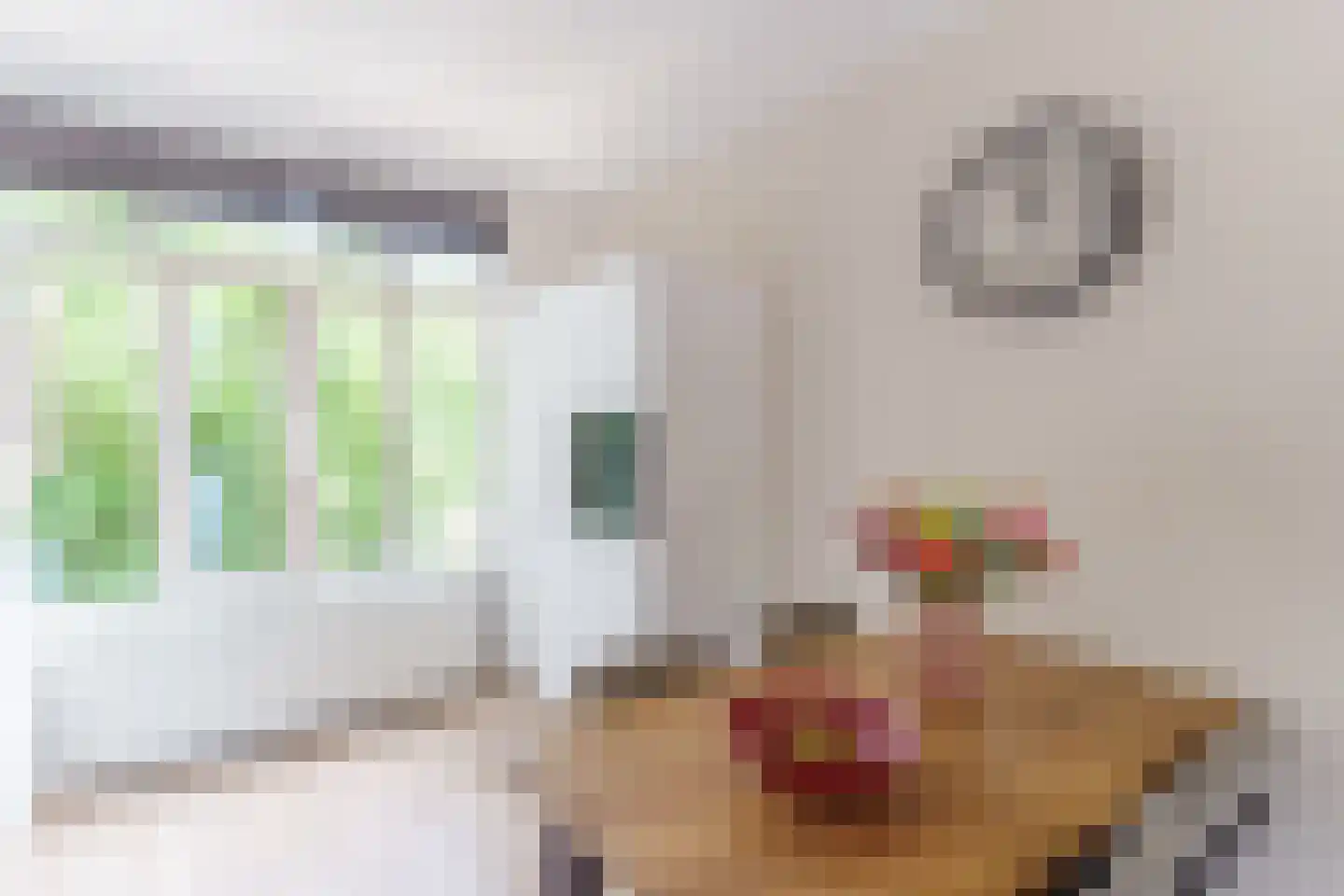 Stuyvesantstraat 7 Den Haag thumbnail 7