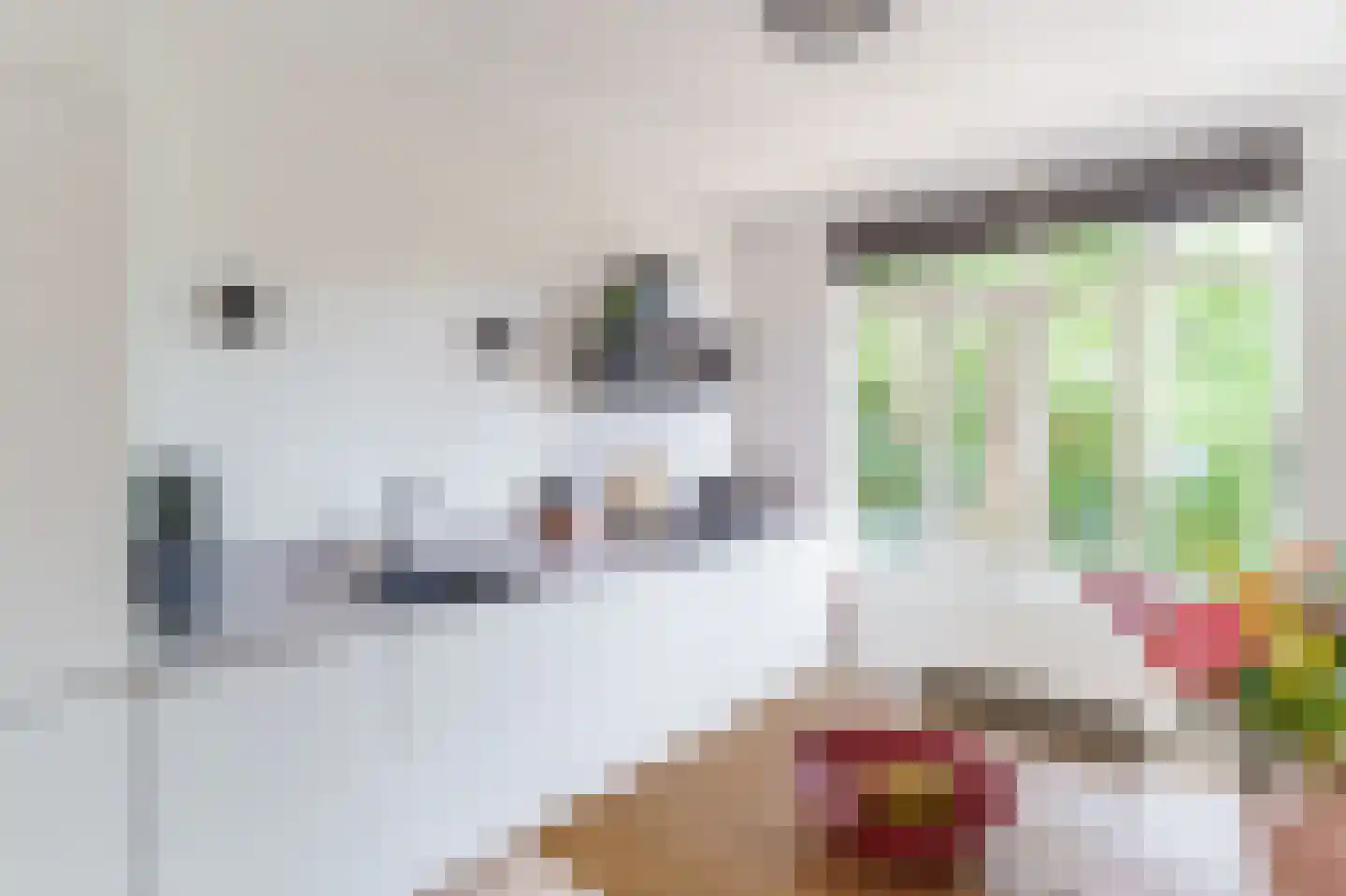 Stuyvesantstraat 7 Den Haag thumbnail 9