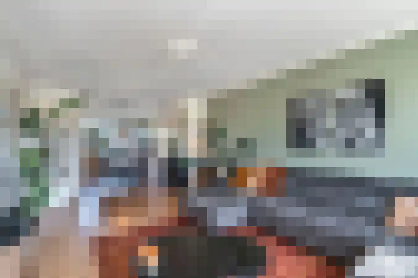 Stuyvesantstraat 7 Santpoort-Noord thumbnail 10