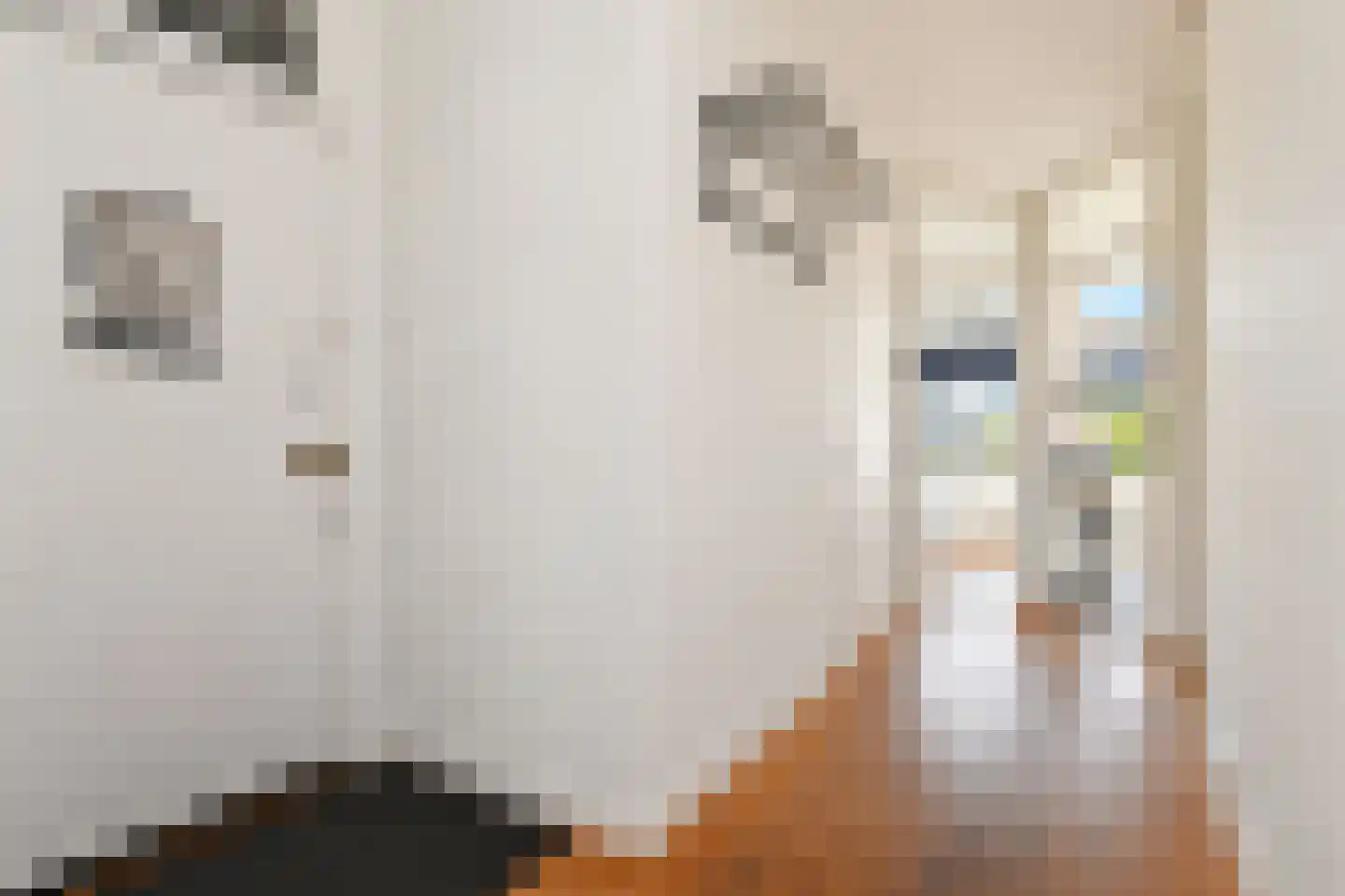 Stuyvesantstraat 70 Den Haag thumbnail 8