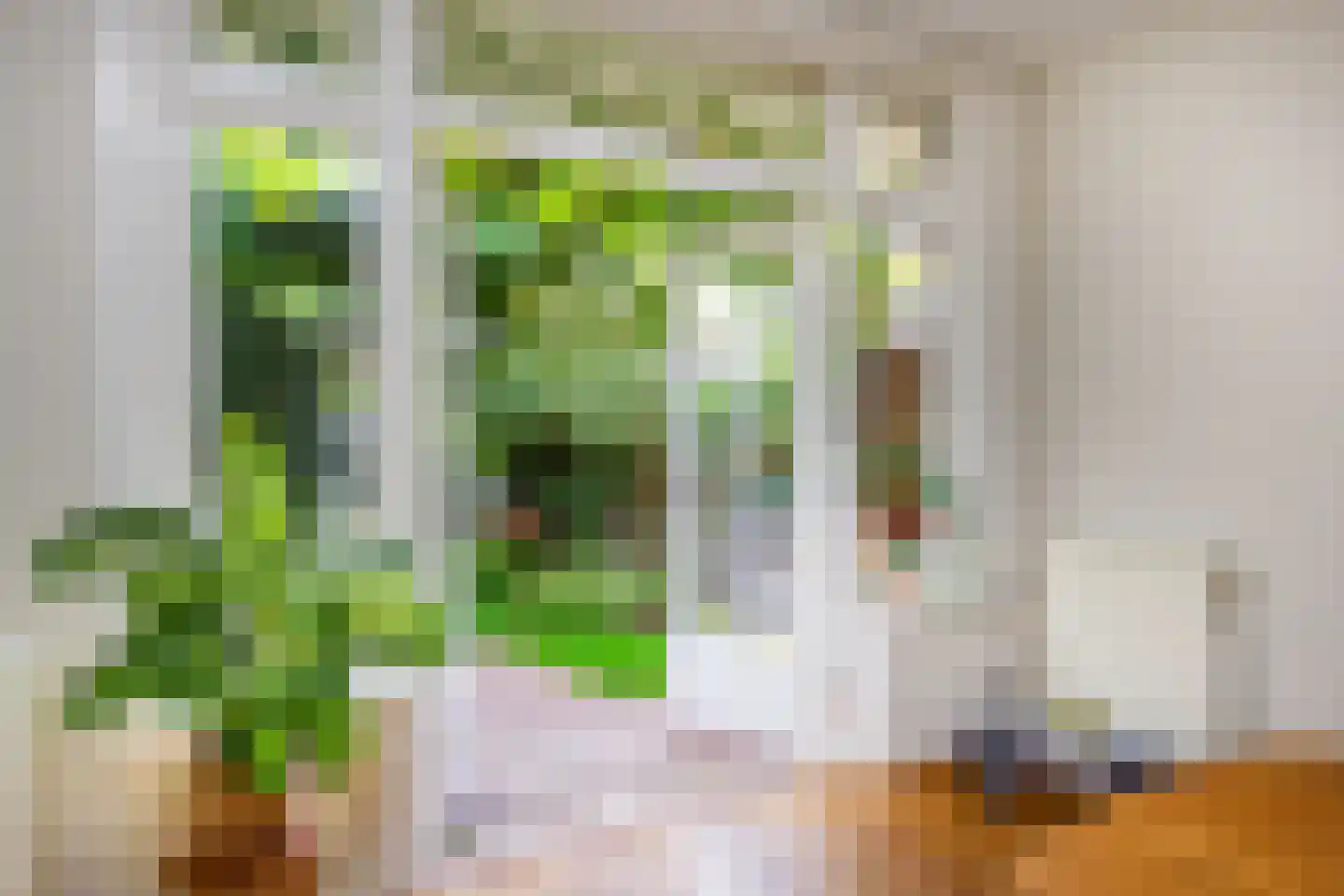Stuyvesantstraat 81 ZW Haarlem thumbnail 22