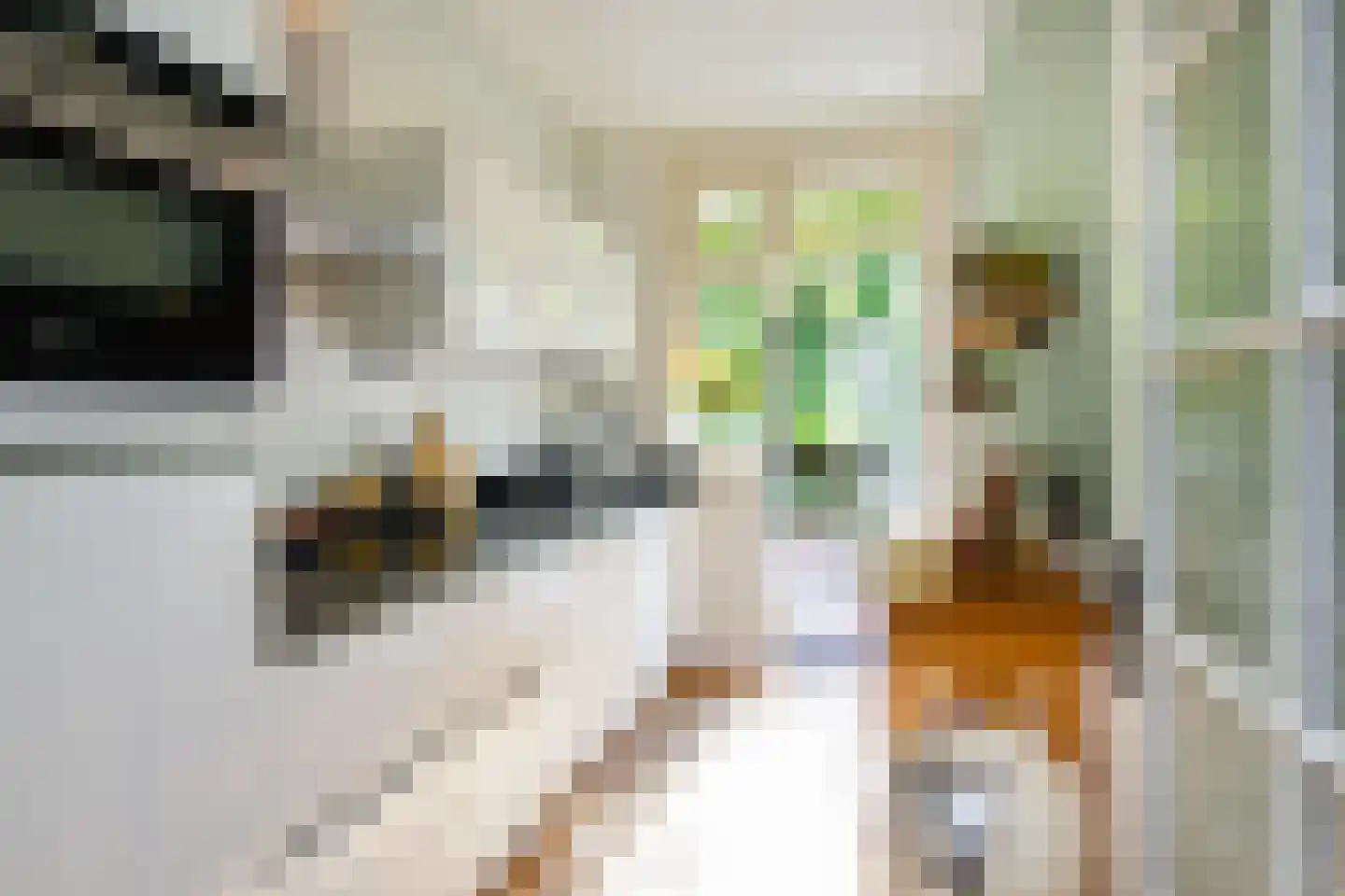 Stuyvesantstraat 81 ZW Haarlem thumbnail 37