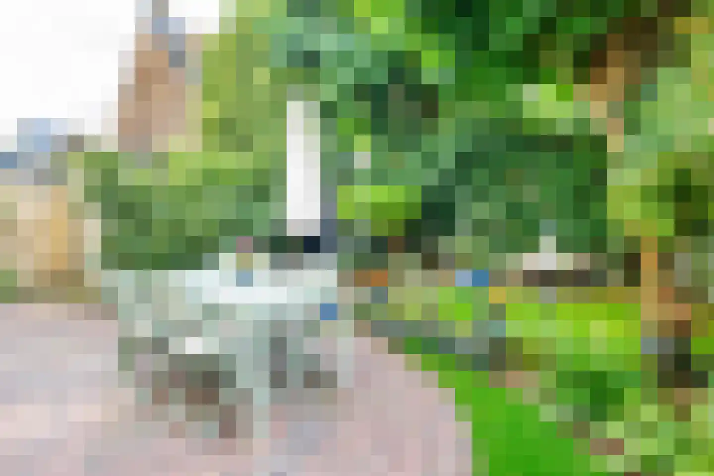 Stuyvesantstraat 81 ZW Haarlem thumbnail 6
