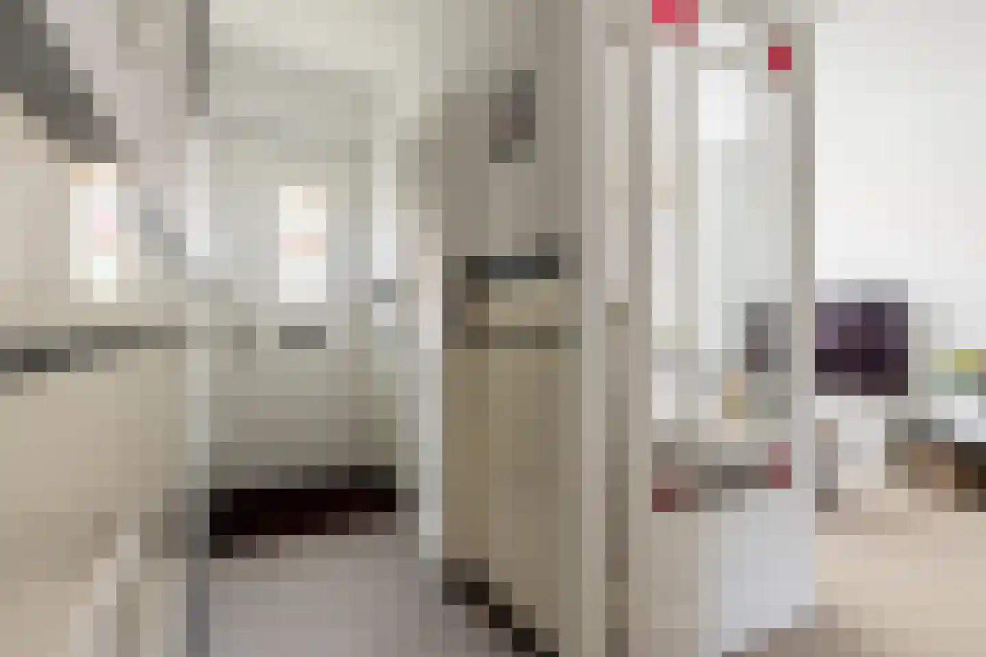 Stuyvesantstraat 83 ZW Haarlem thumbnail 4