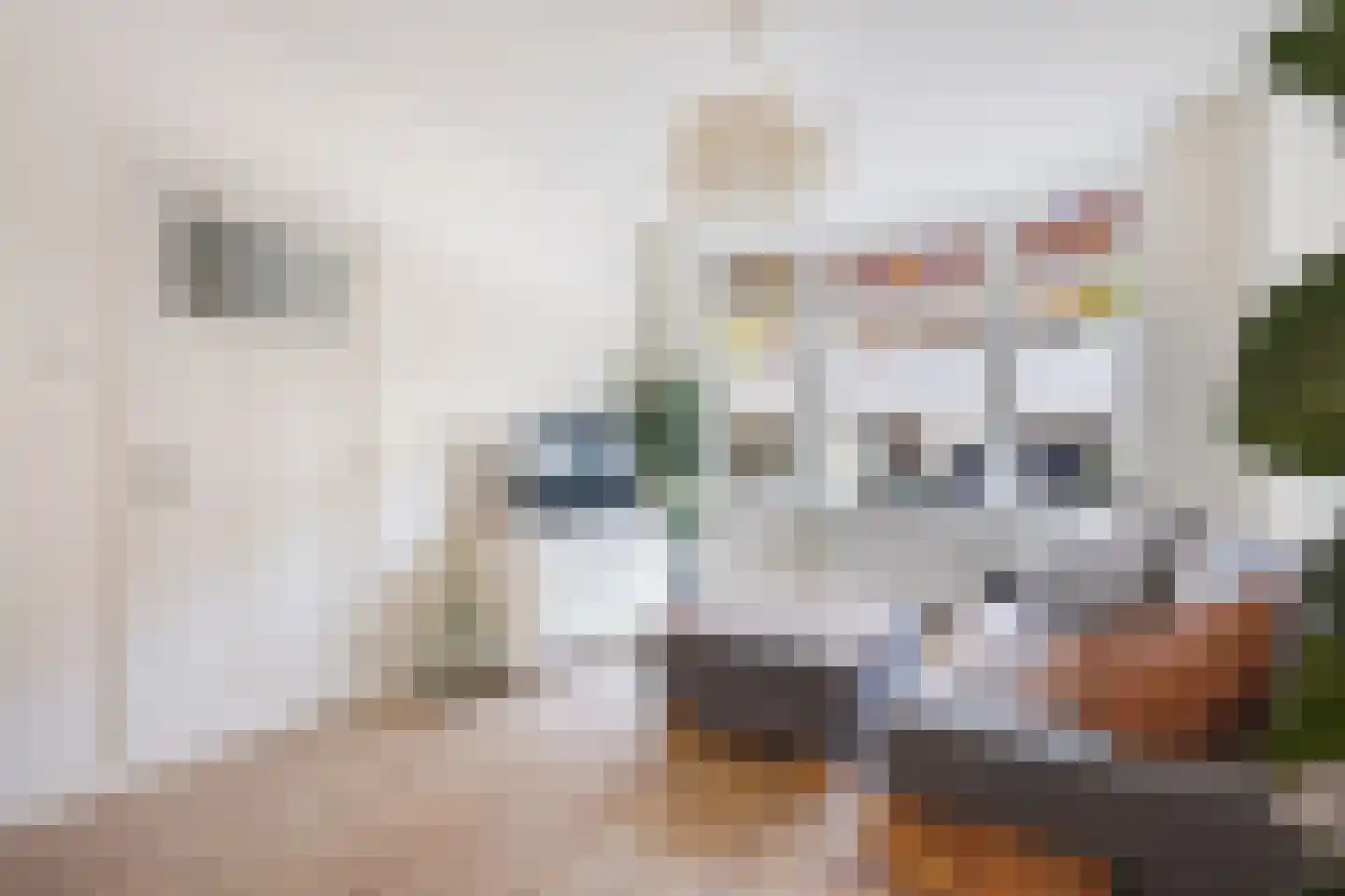 Stuyvesantstraat 87 ZW Haarlem thumbnail 21