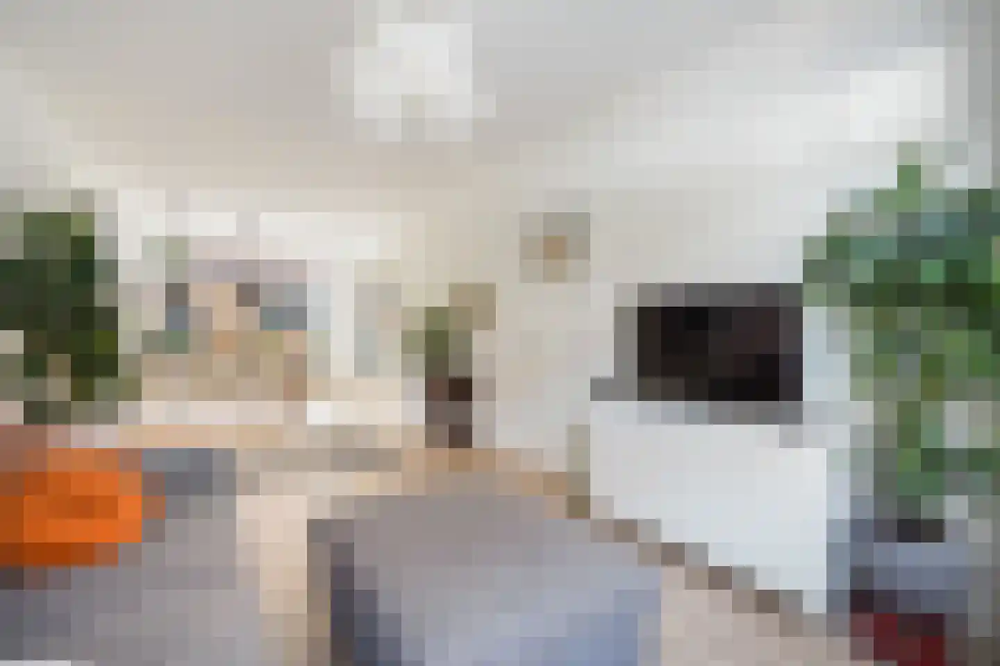 Stuyvesantstraat 87 ZW Haarlem thumbnail 22