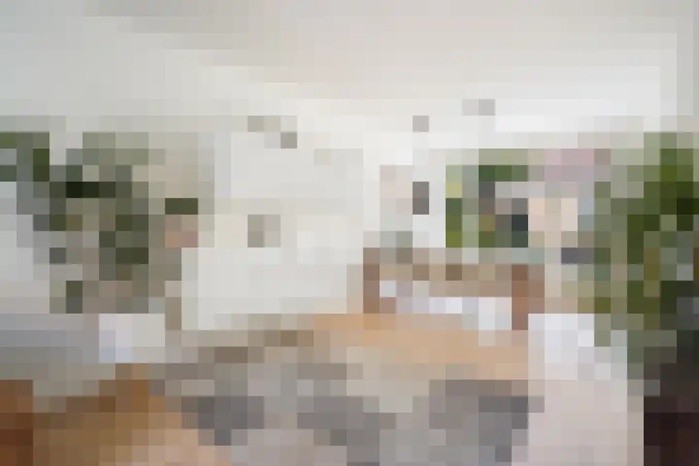 Stuyvesantstraat 87 ZW Haarlem thumbnail 24