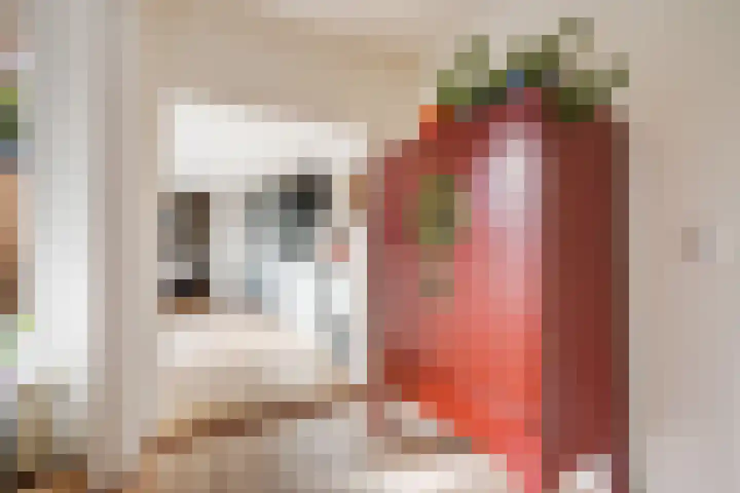 Stuyvesantstraat 87 ZW Haarlem thumbnail 27