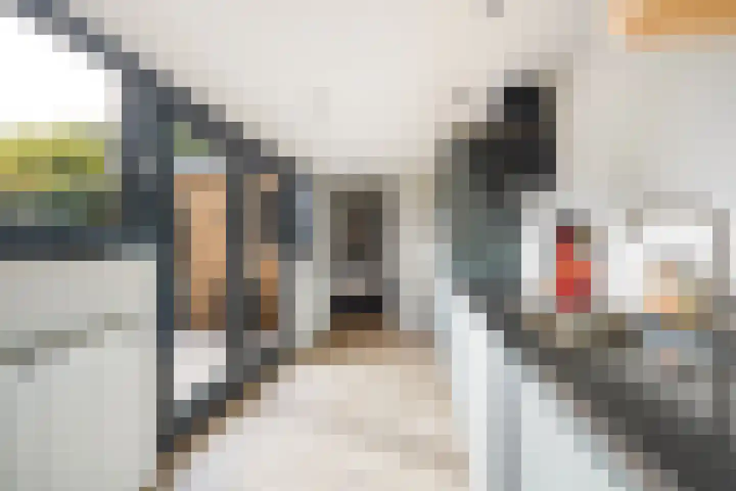 Stuyvesantstraat 87 ZW Haarlem thumbnail 28