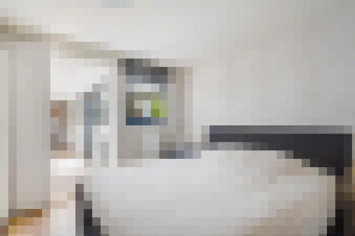 Stuyvesantstraat 87 ZW Haarlem thumbnail 30