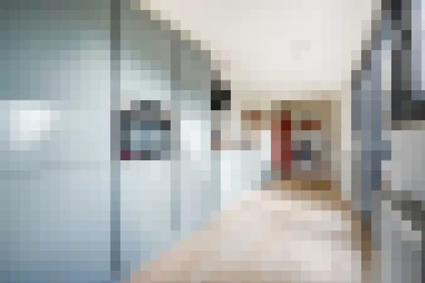 Stuyvesantstraat 87 ZW Haarlem thumbnail 31