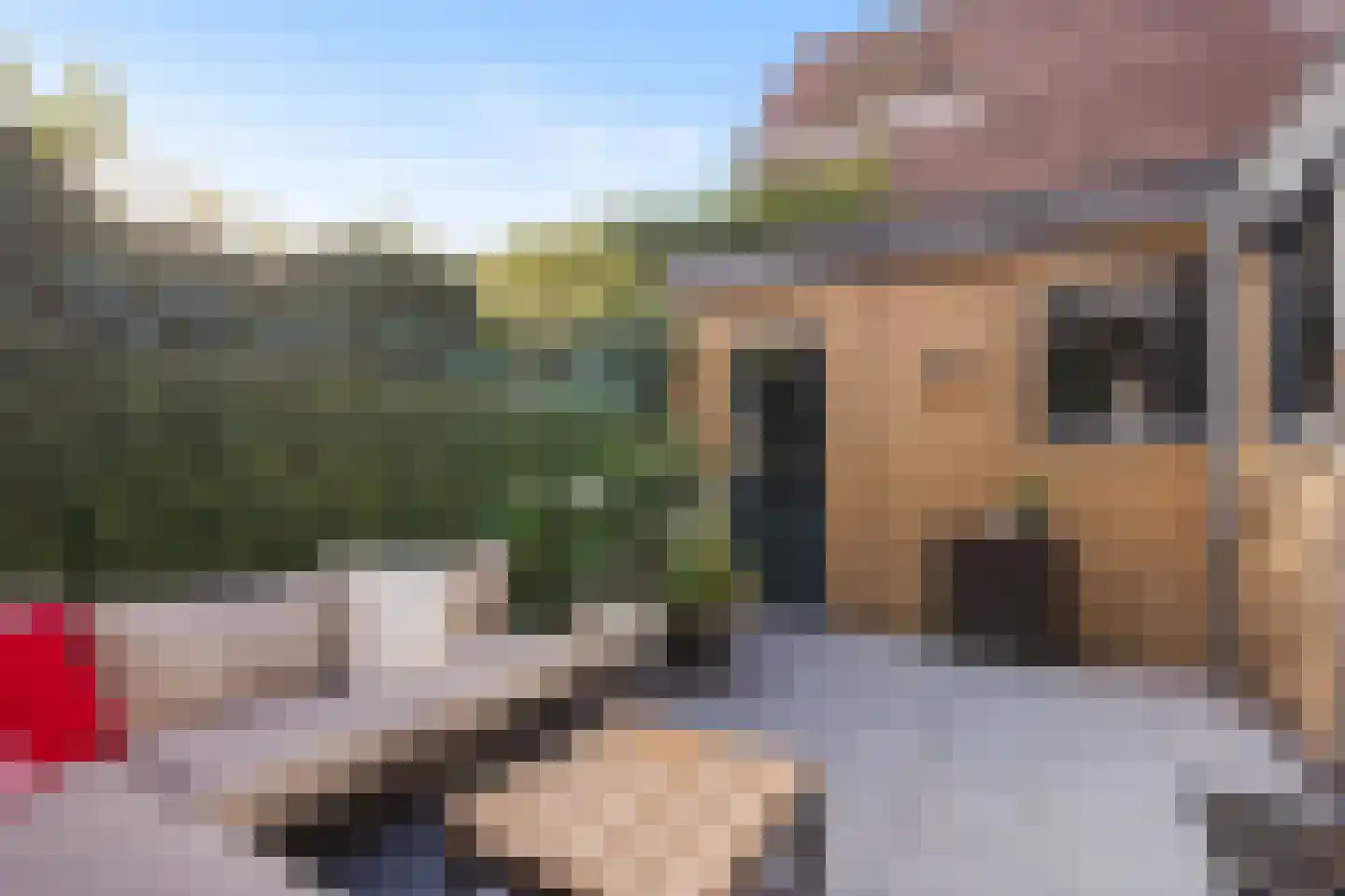 Stuyvesantstraat 87 ZW Haarlem thumbnail 35