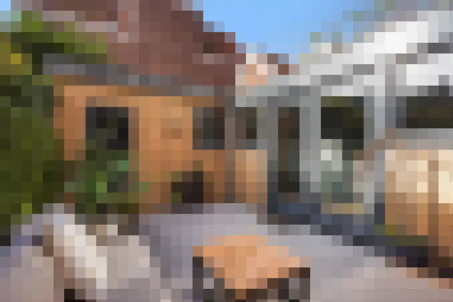 Stuyvesantstraat 87 ZW Haarlem thumbnail 36
