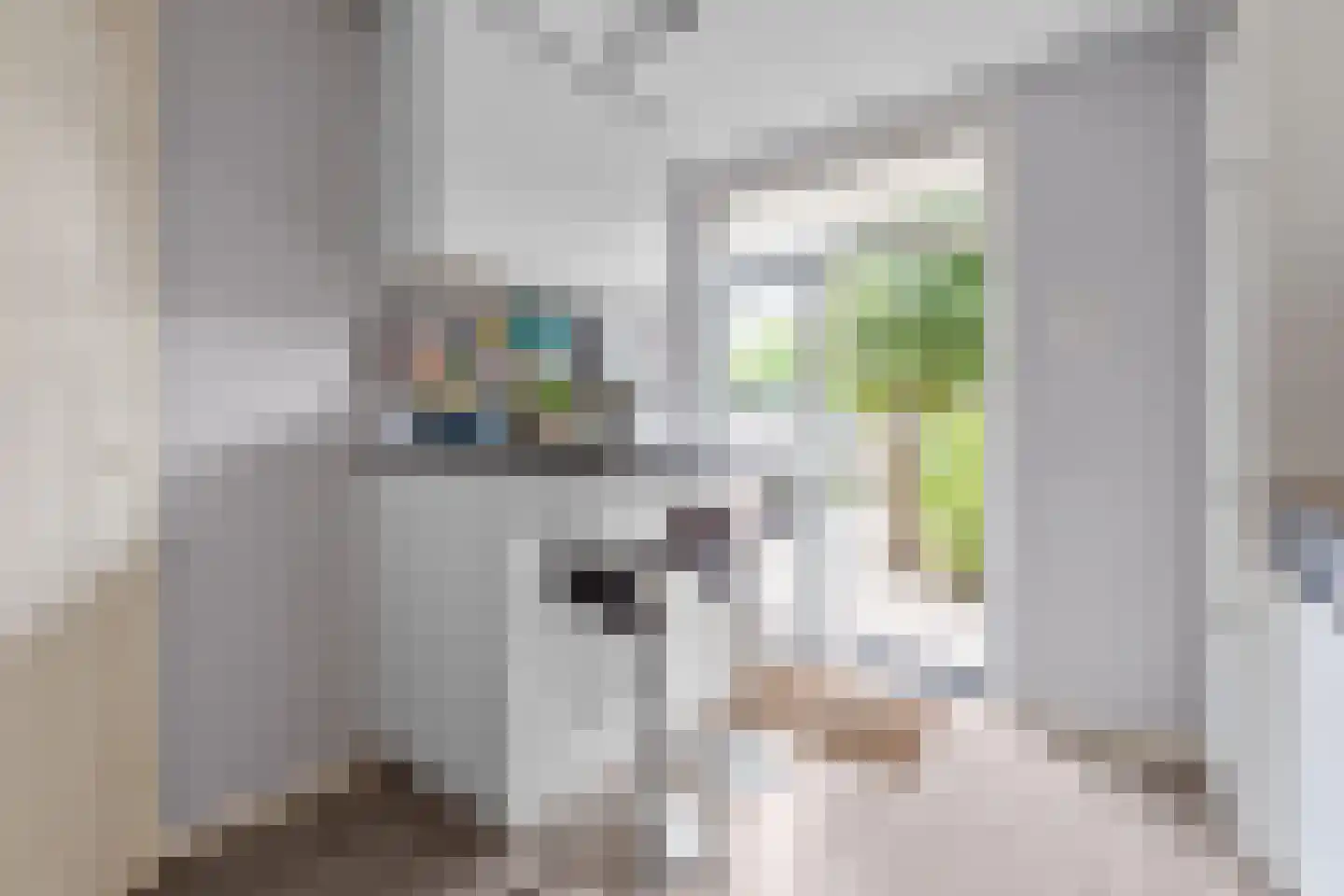 Stuyvesantstraat 89 Den Haag thumbnail 22