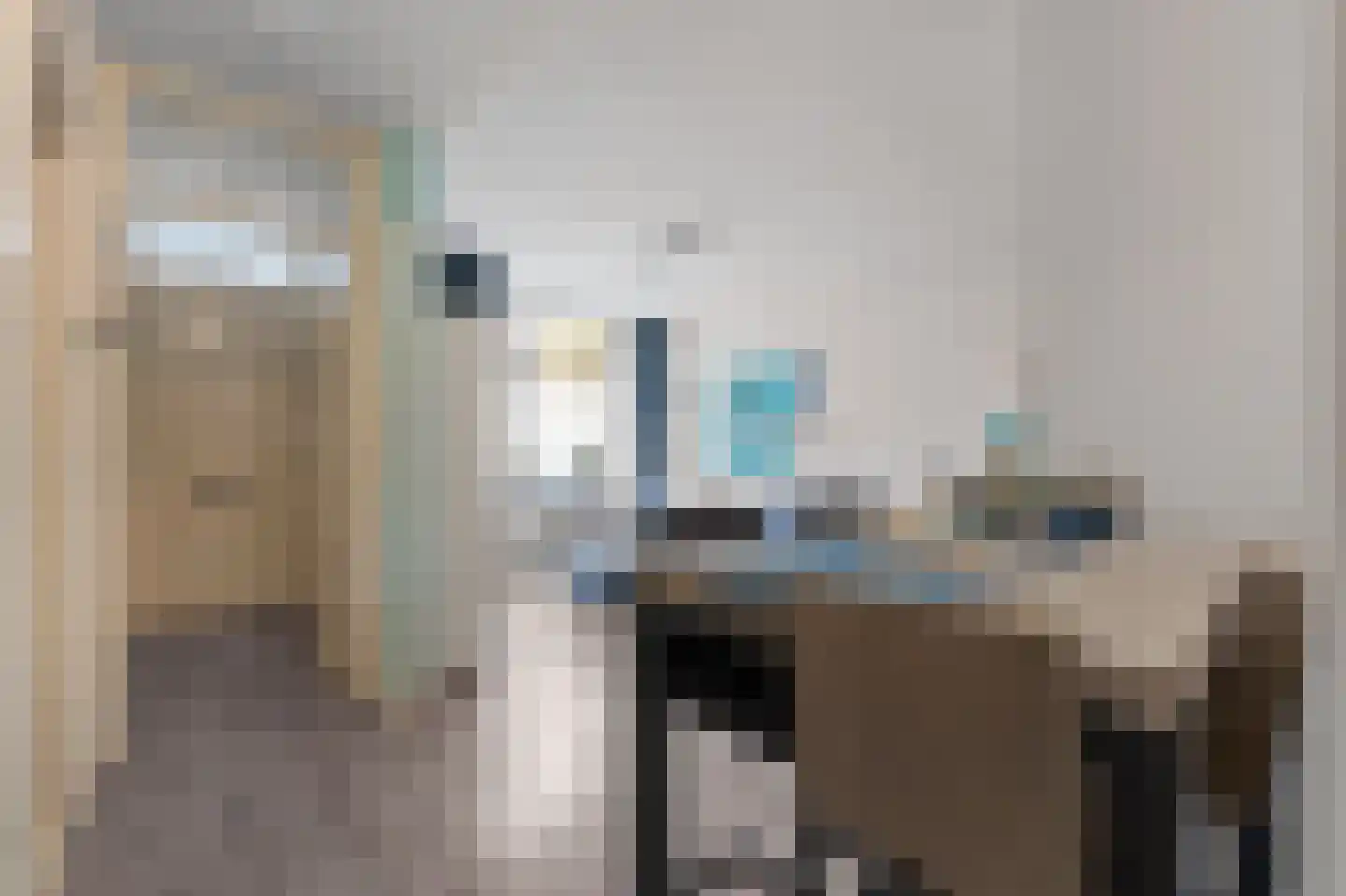 Stuyvesantstraat 89 Den Haag thumbnail 9
