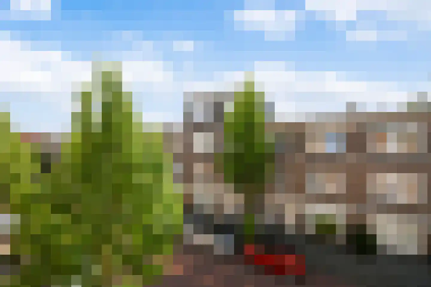 Stuyvesantstraat 97 Den Haag thumbnail 16