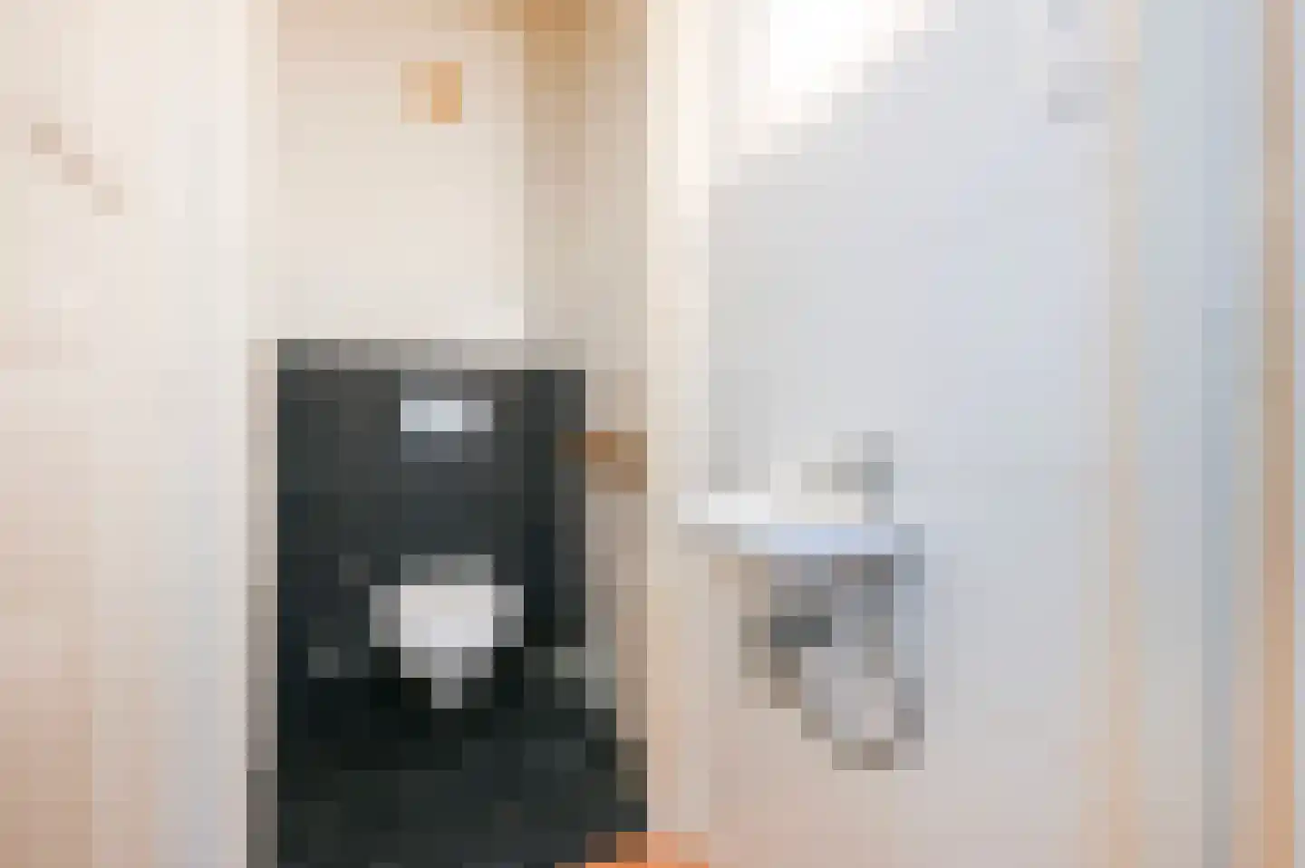 Stuyvesantstraat 97 Den Haag thumbnail 5