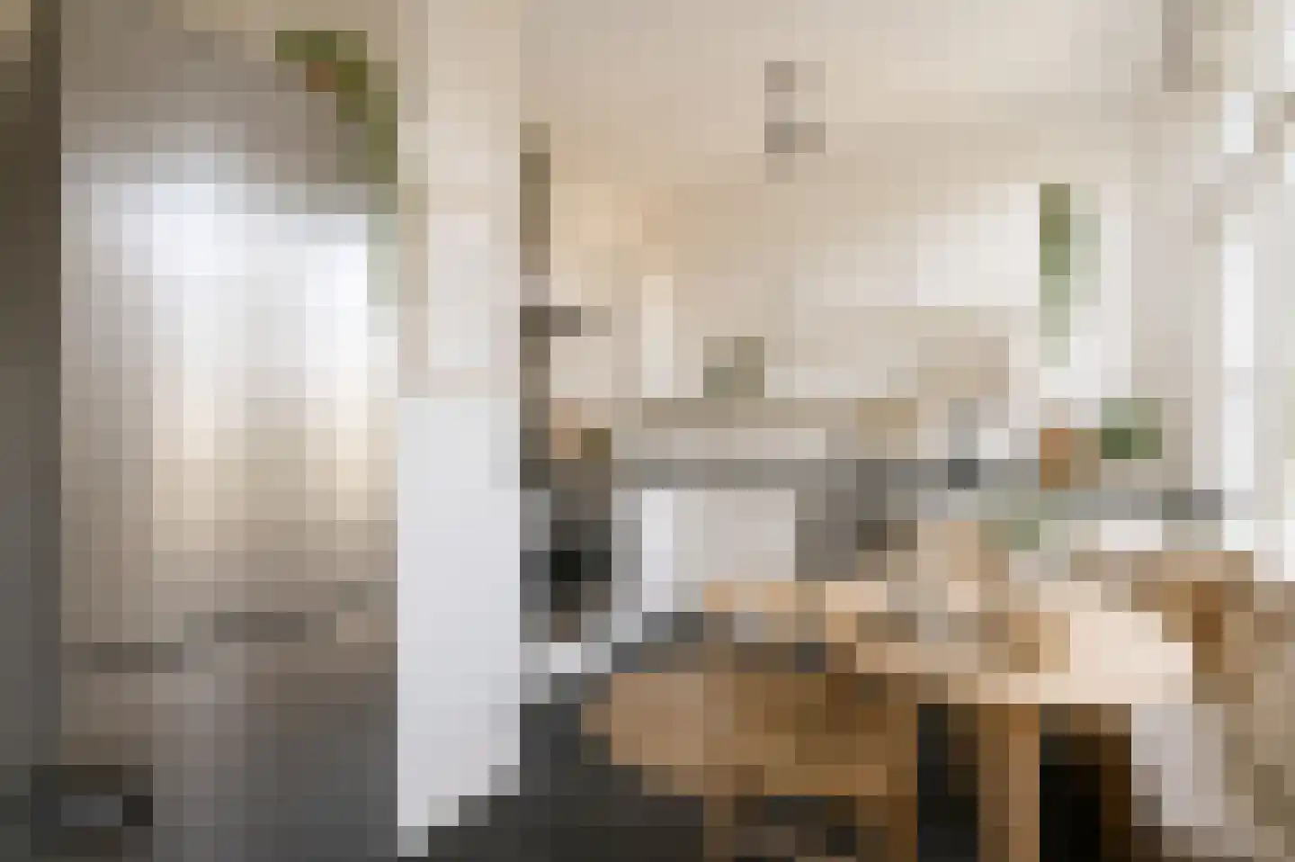 Stuyvesantstraat 97 Den Haag thumbnail 8