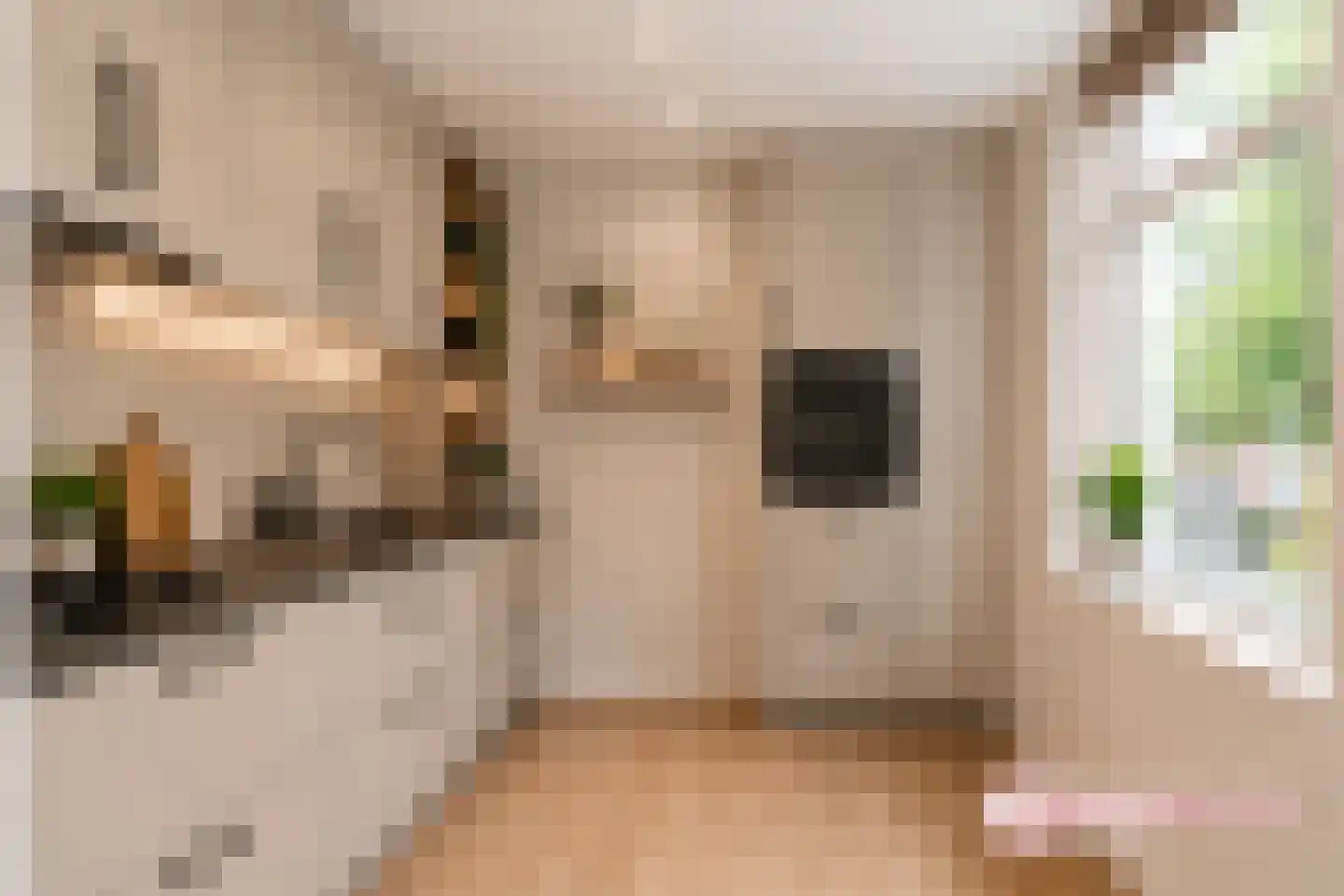 Stuyvesantstraat 99 Den Haag thumbnail 11