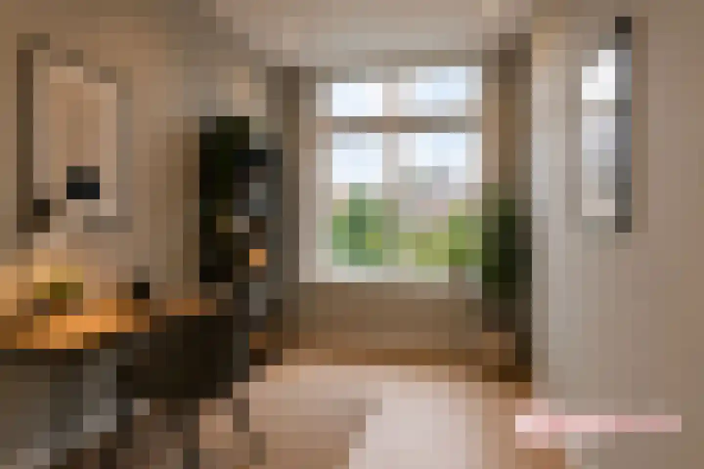 Stuyvesantstraat 99 Den Haag thumbnail 18